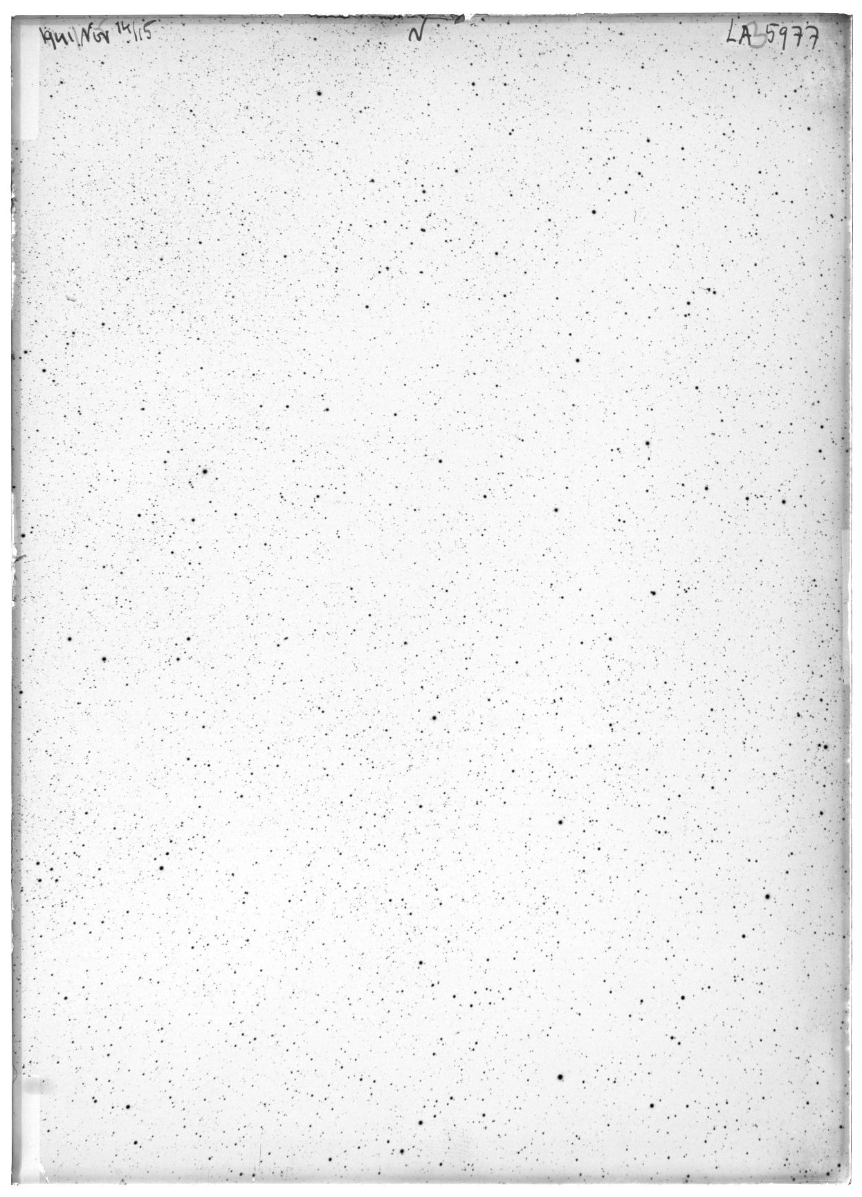 Scan LA05977