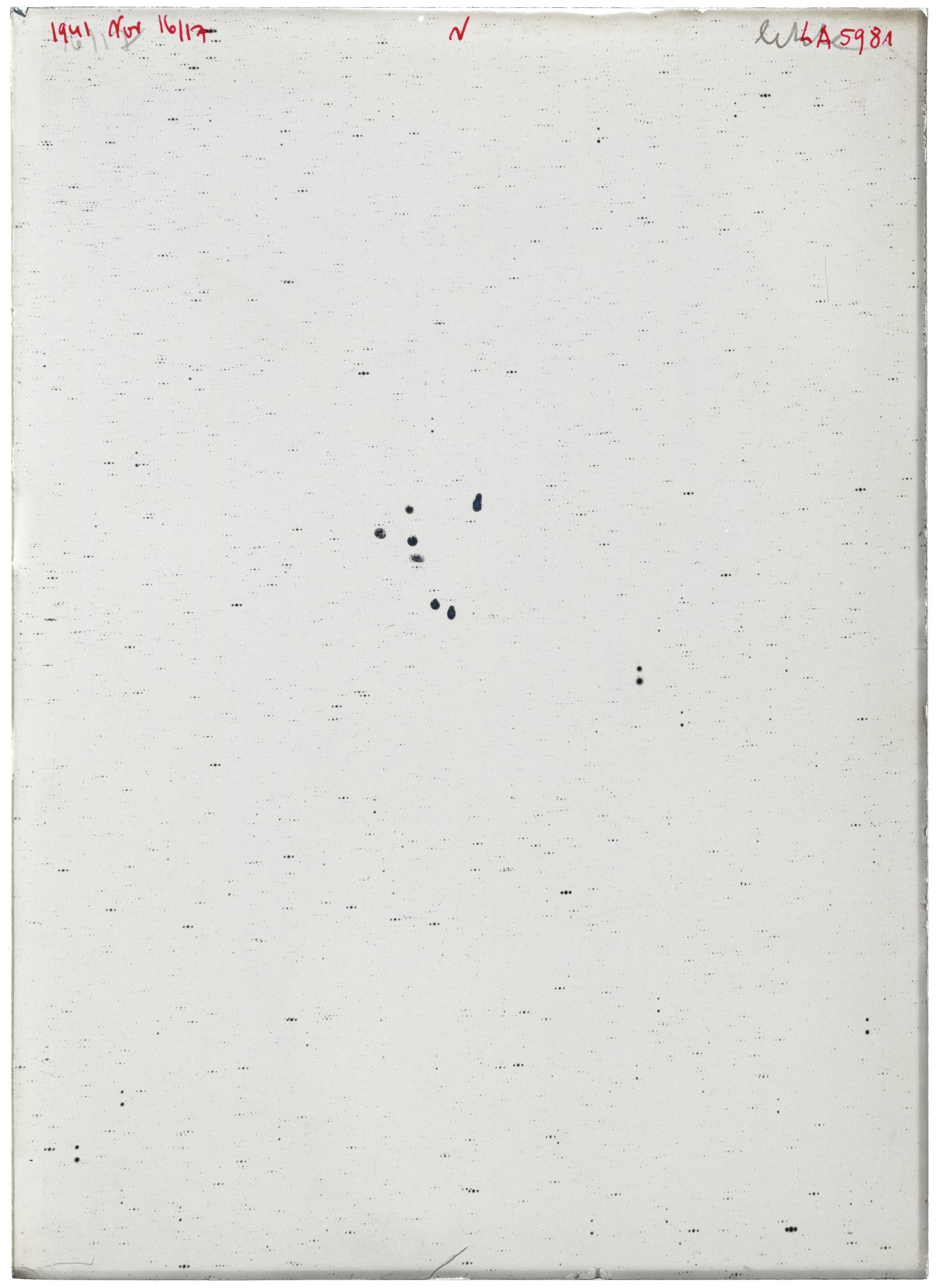 Scan LA05981