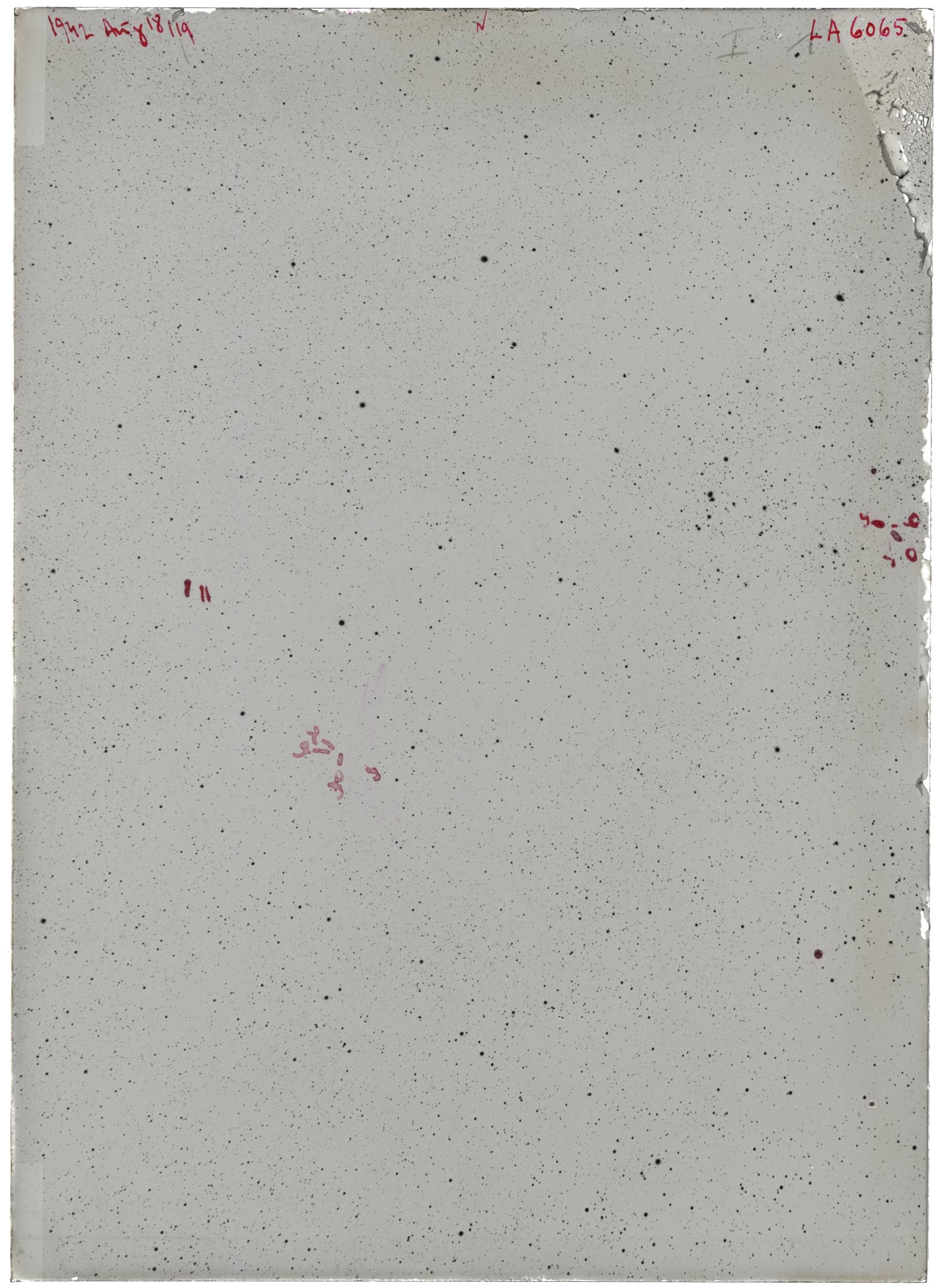 Scan LA06065