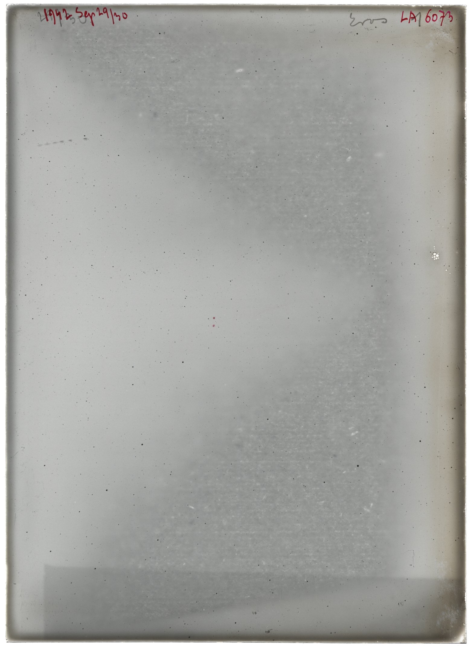 Scan LA06073