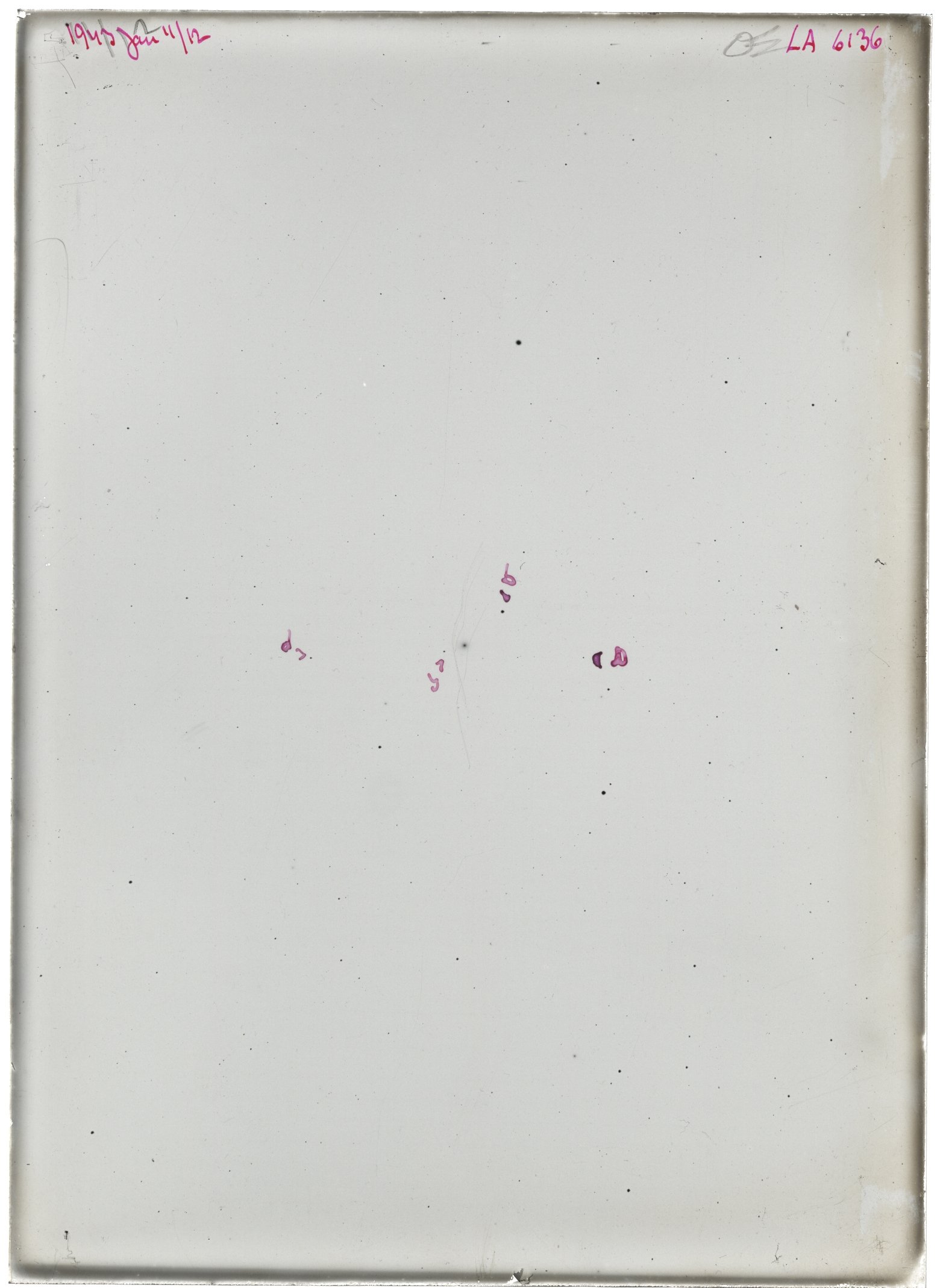 Scan LA06136