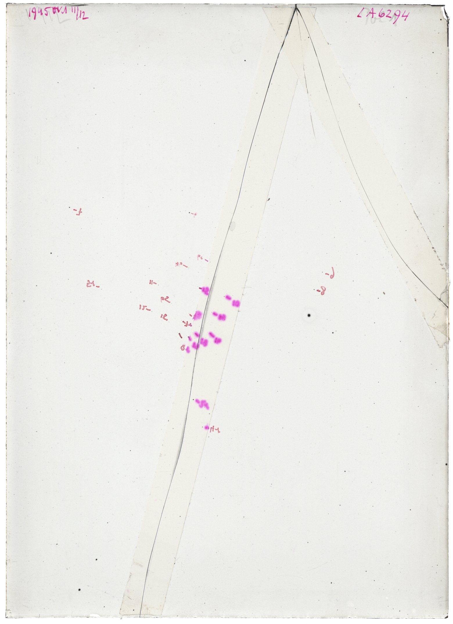 Scan LA06294