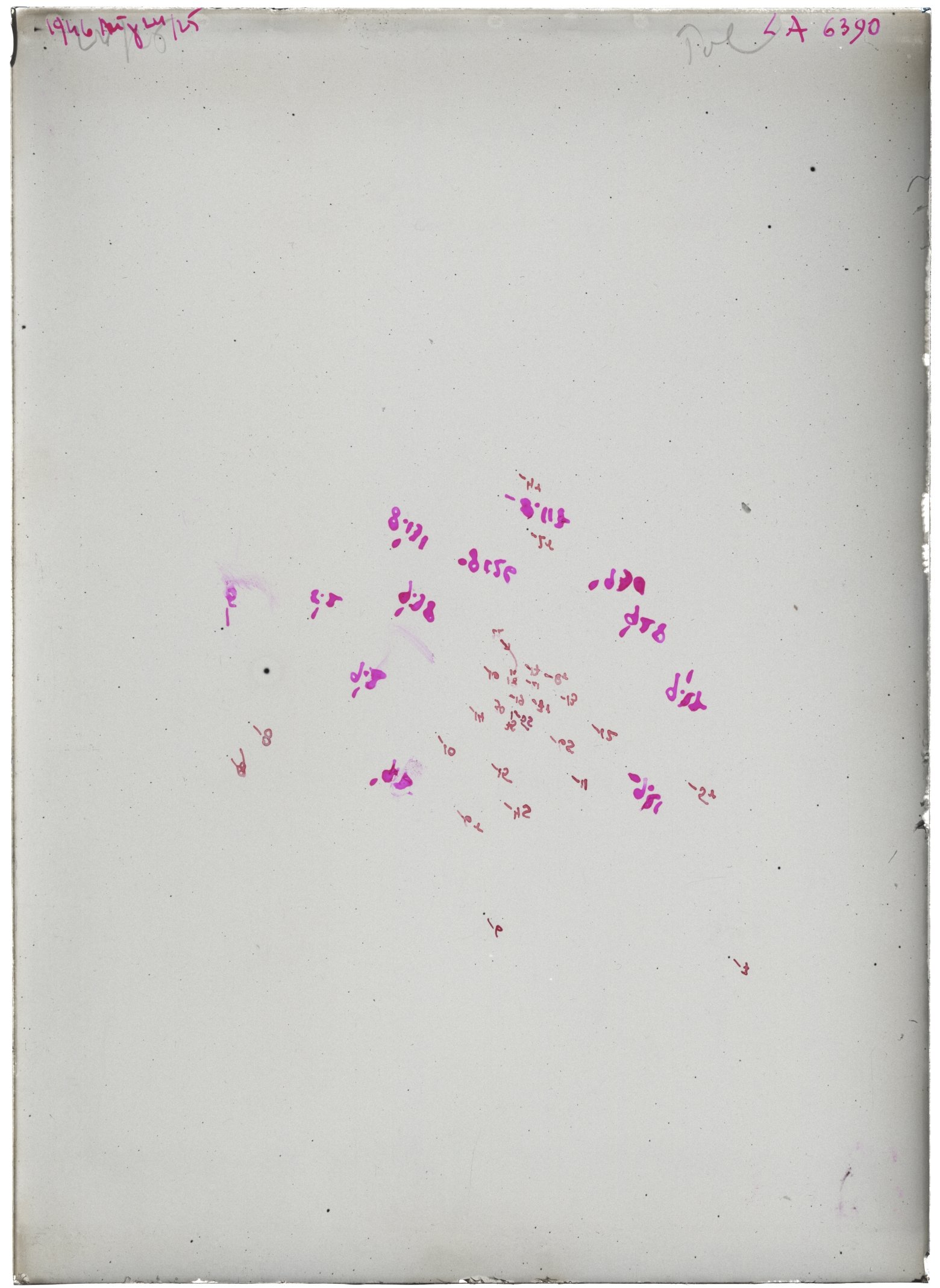 Scan LA06390
