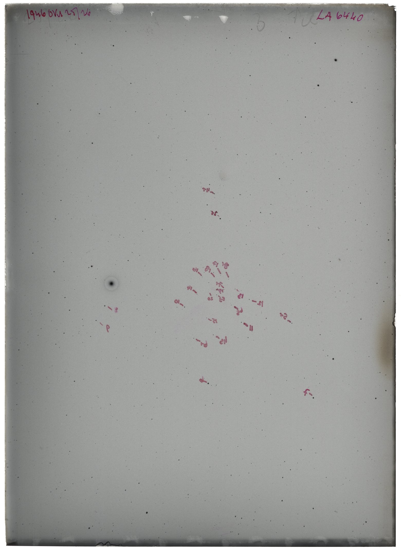Scan LA06440