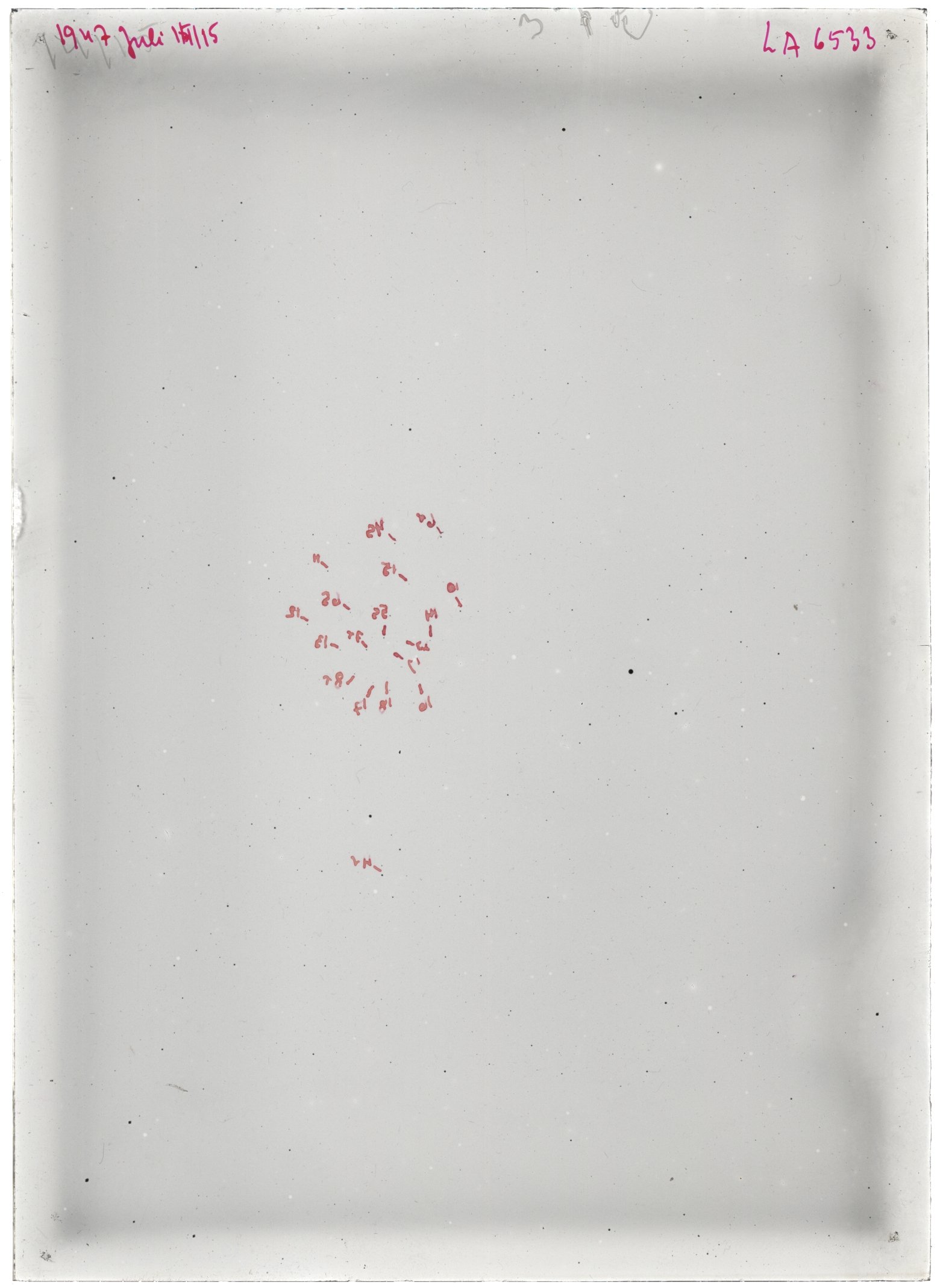 Scan LA06533