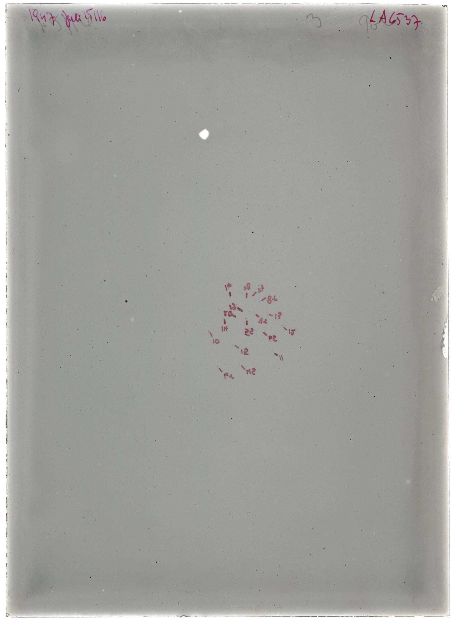 Scan LA06537