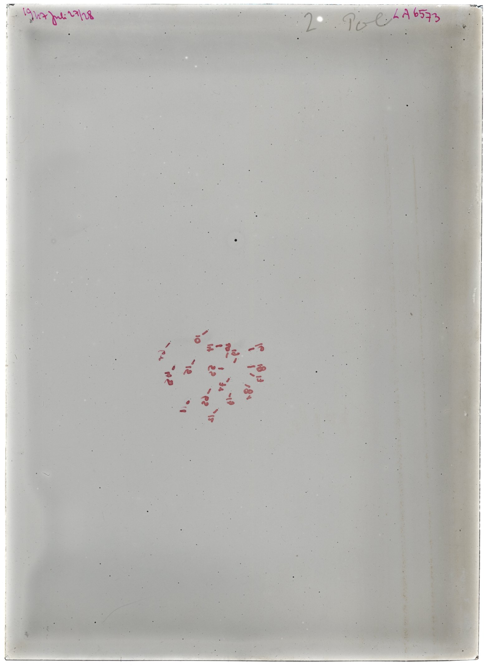 Scan LA06573