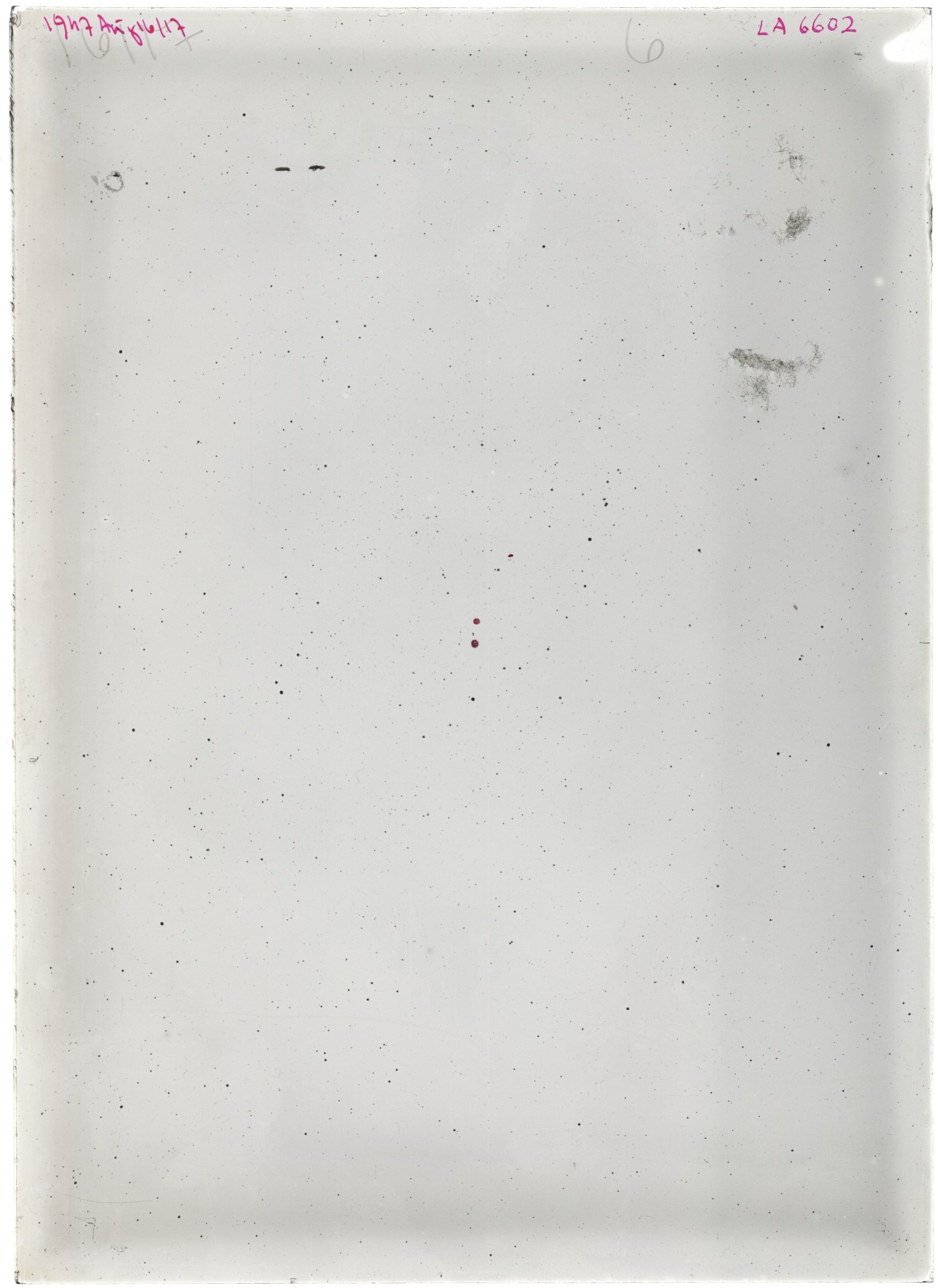 Scan LA06602