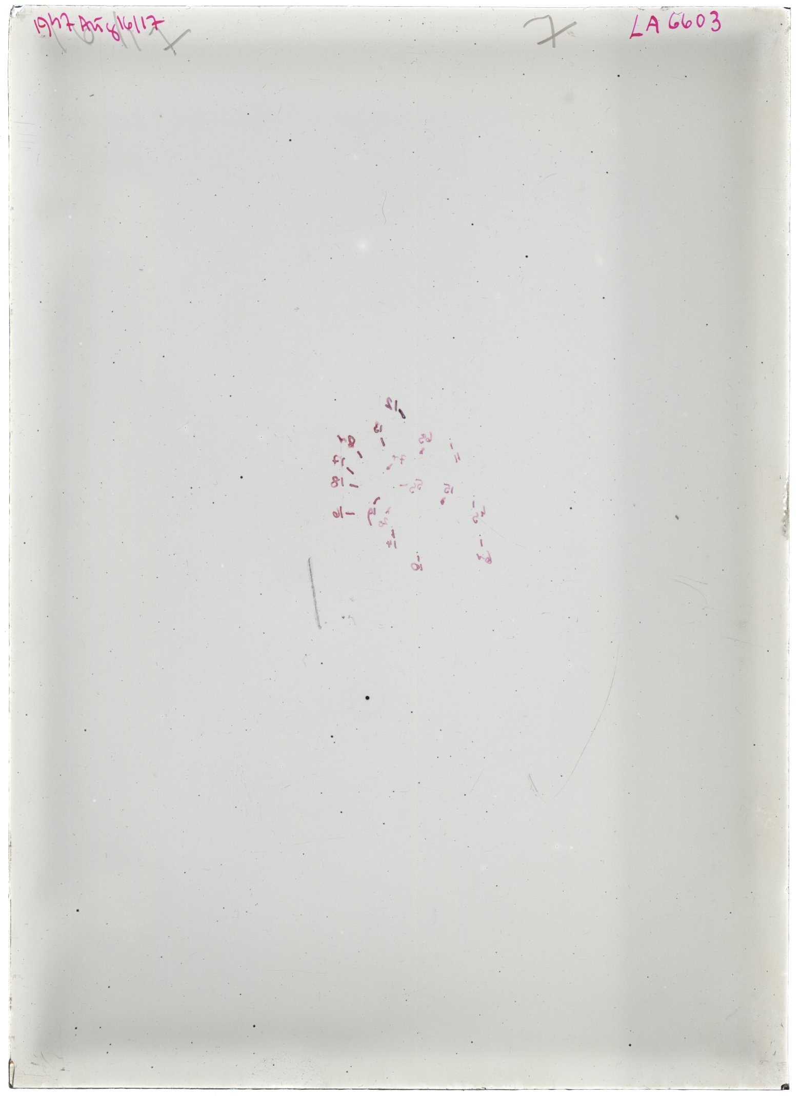 Scan LA06603