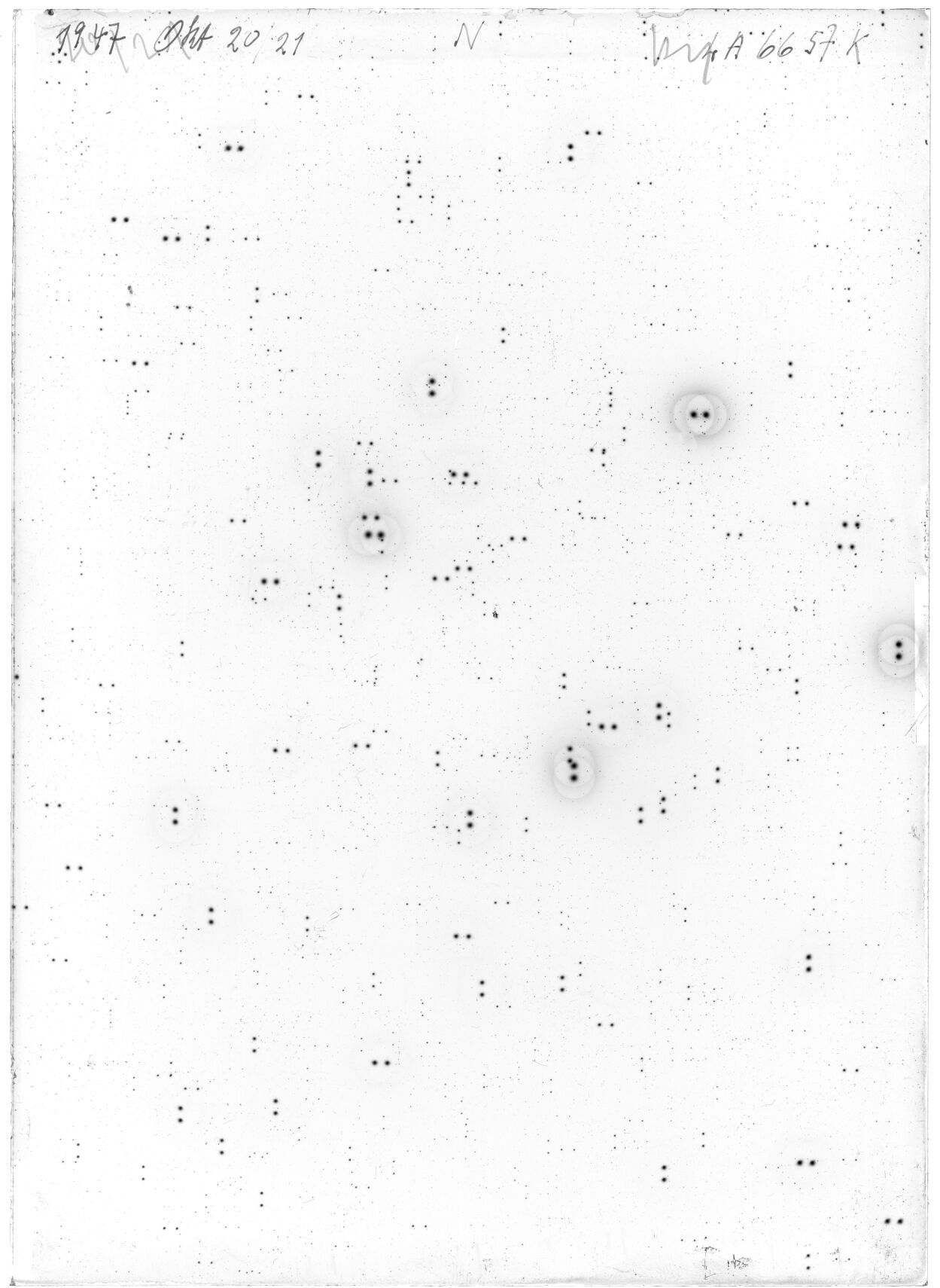 Scan LA06657