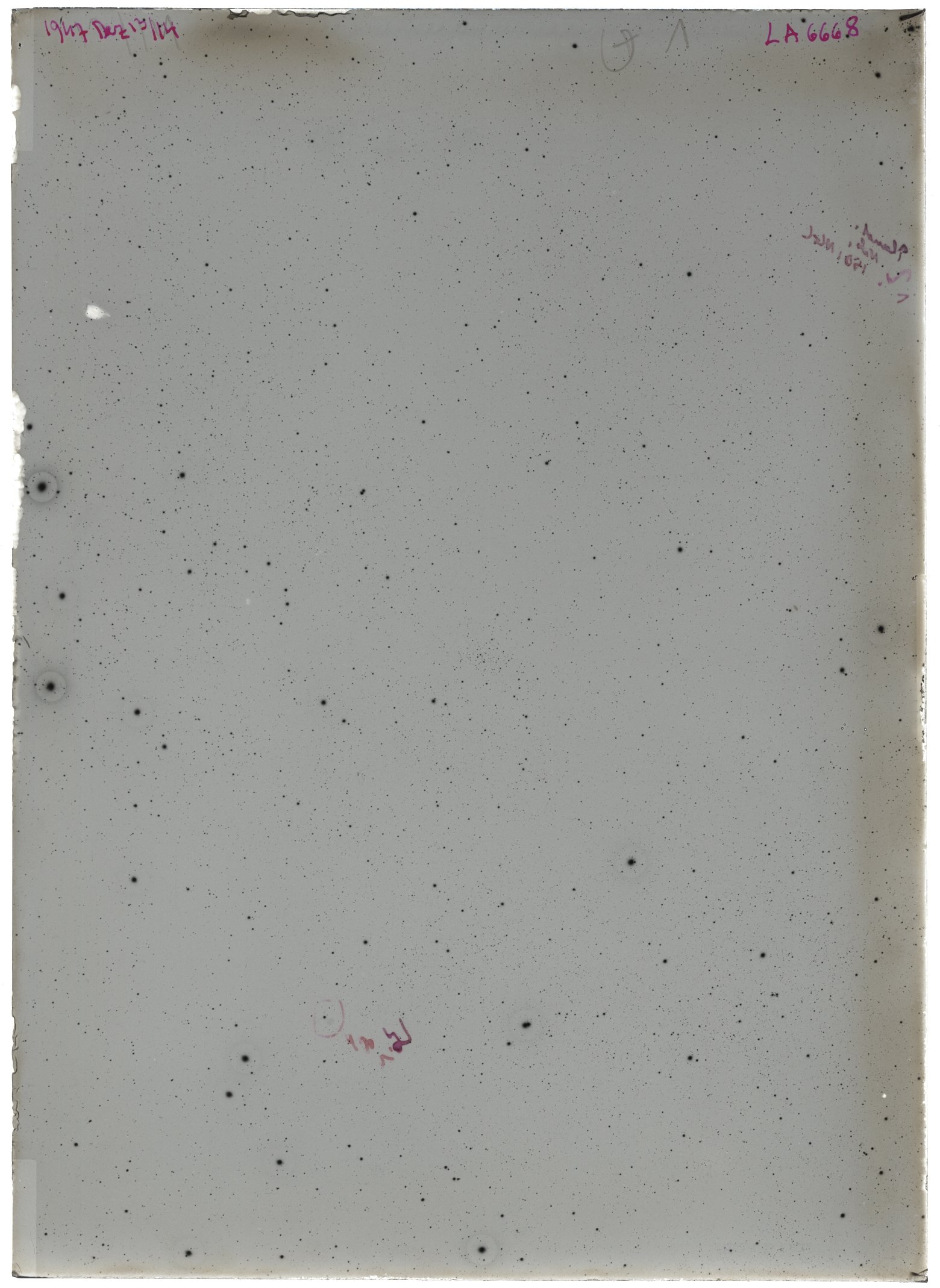 Scan LA06668