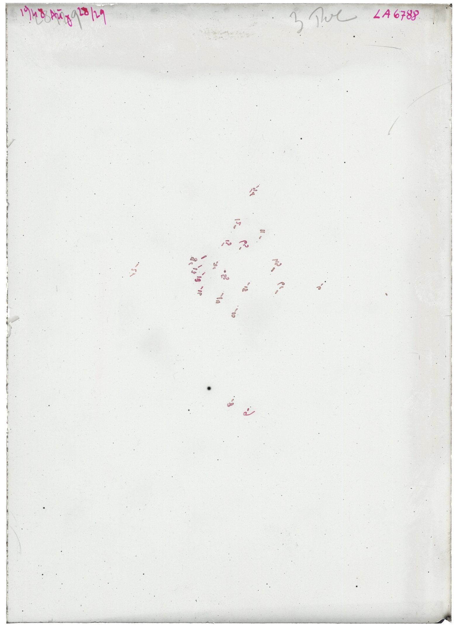 Scan LA06788