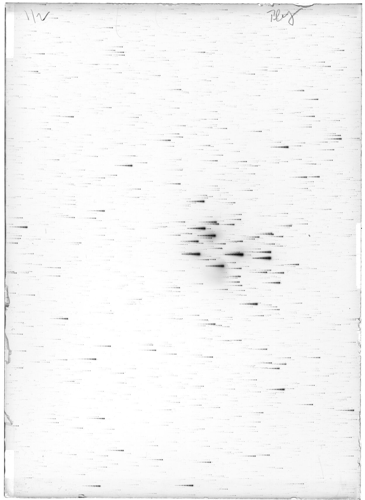 Scan LA06841