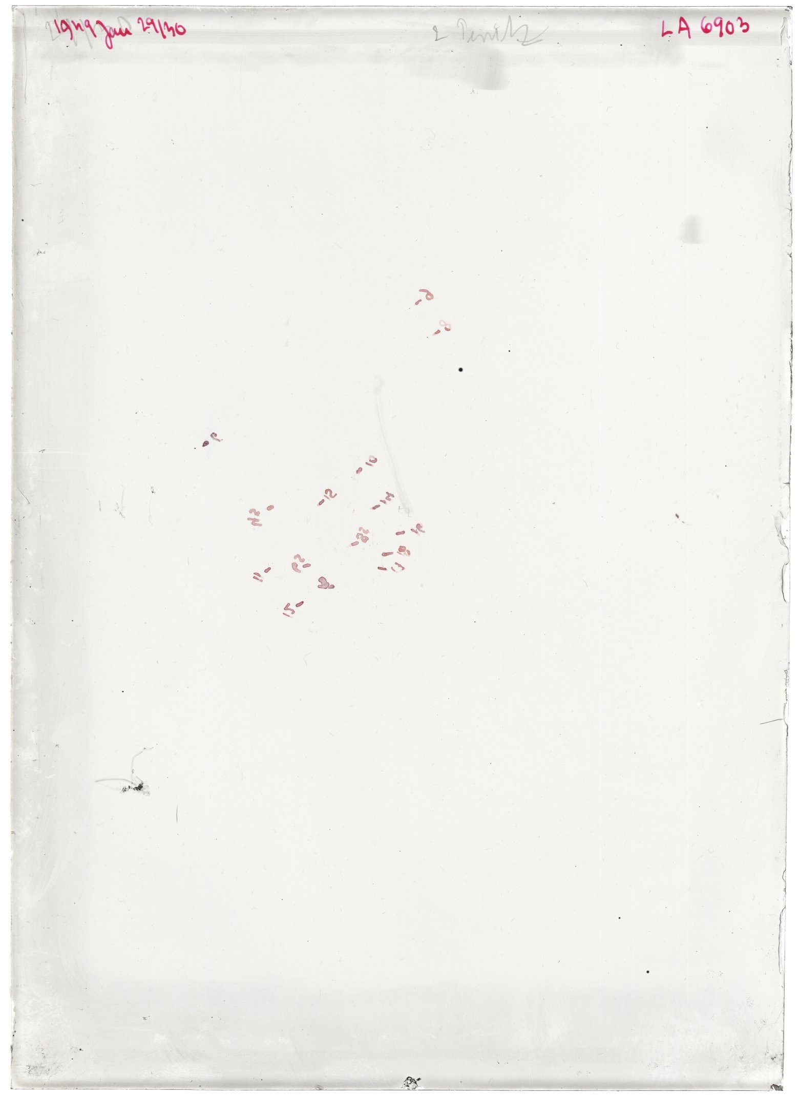 Scan LA06903