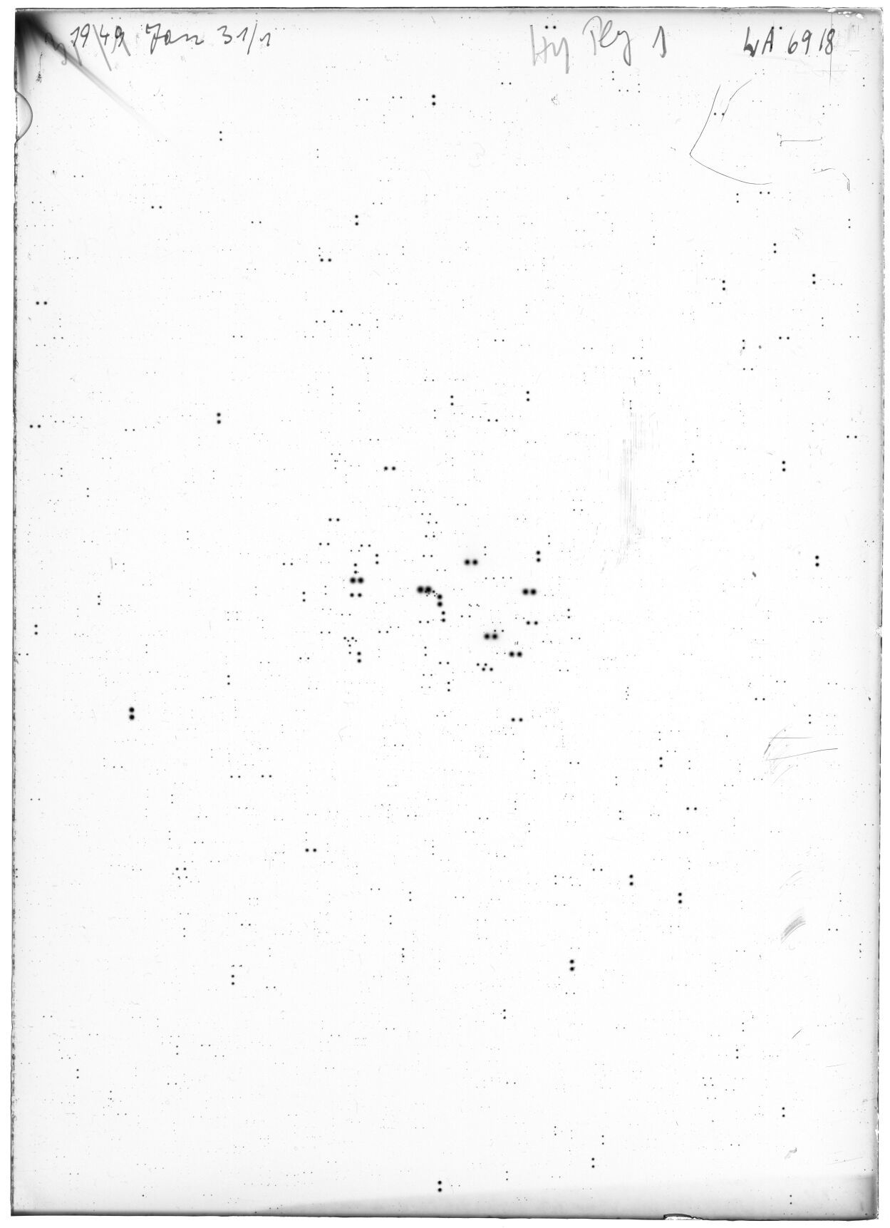 Scan LA06918