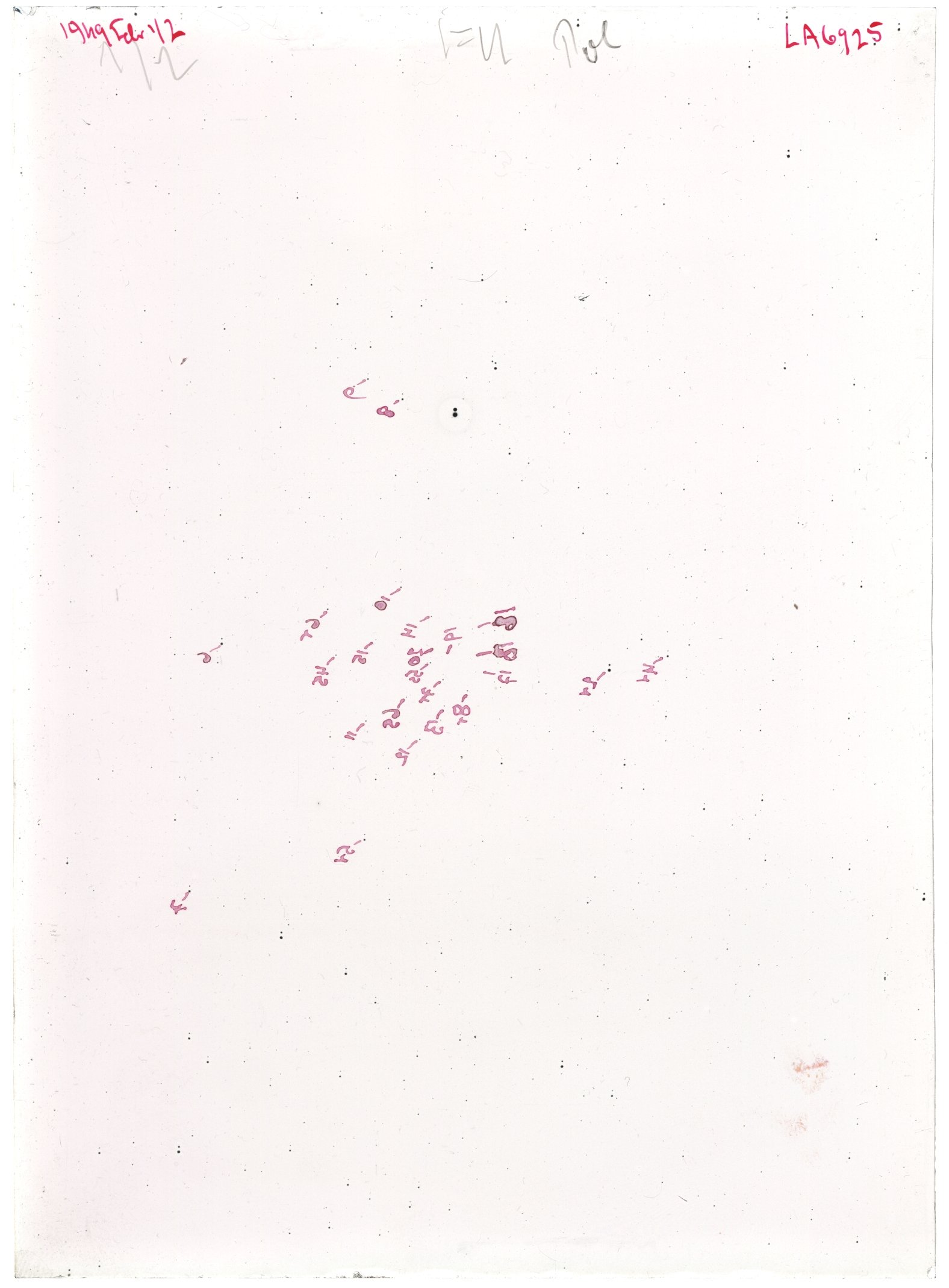 Scan LA06925