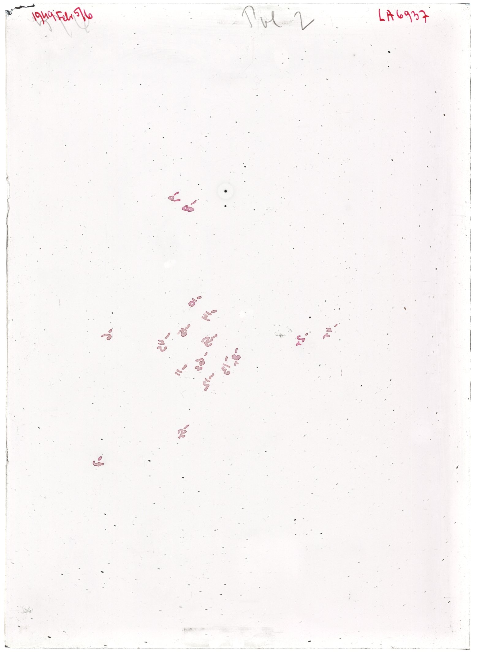 Scan LA06937