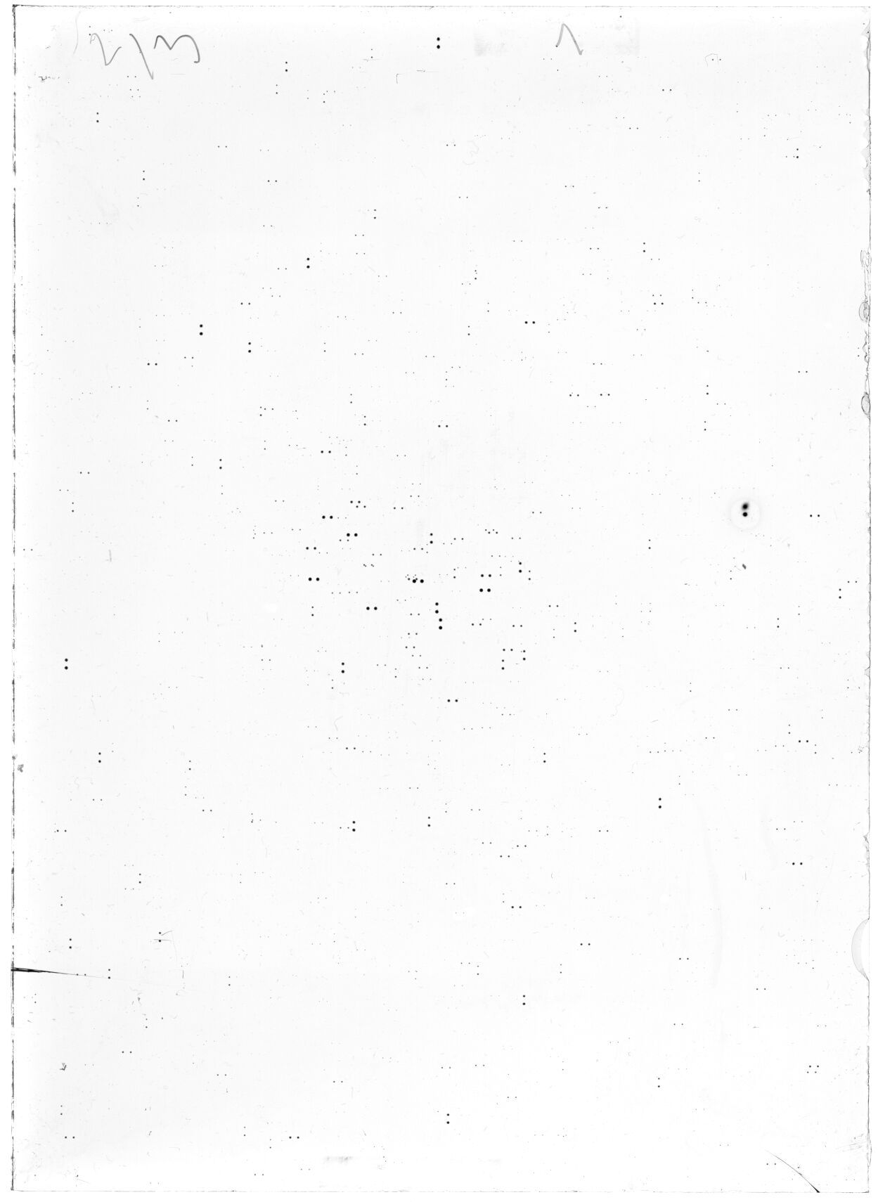 Scan LA06951
