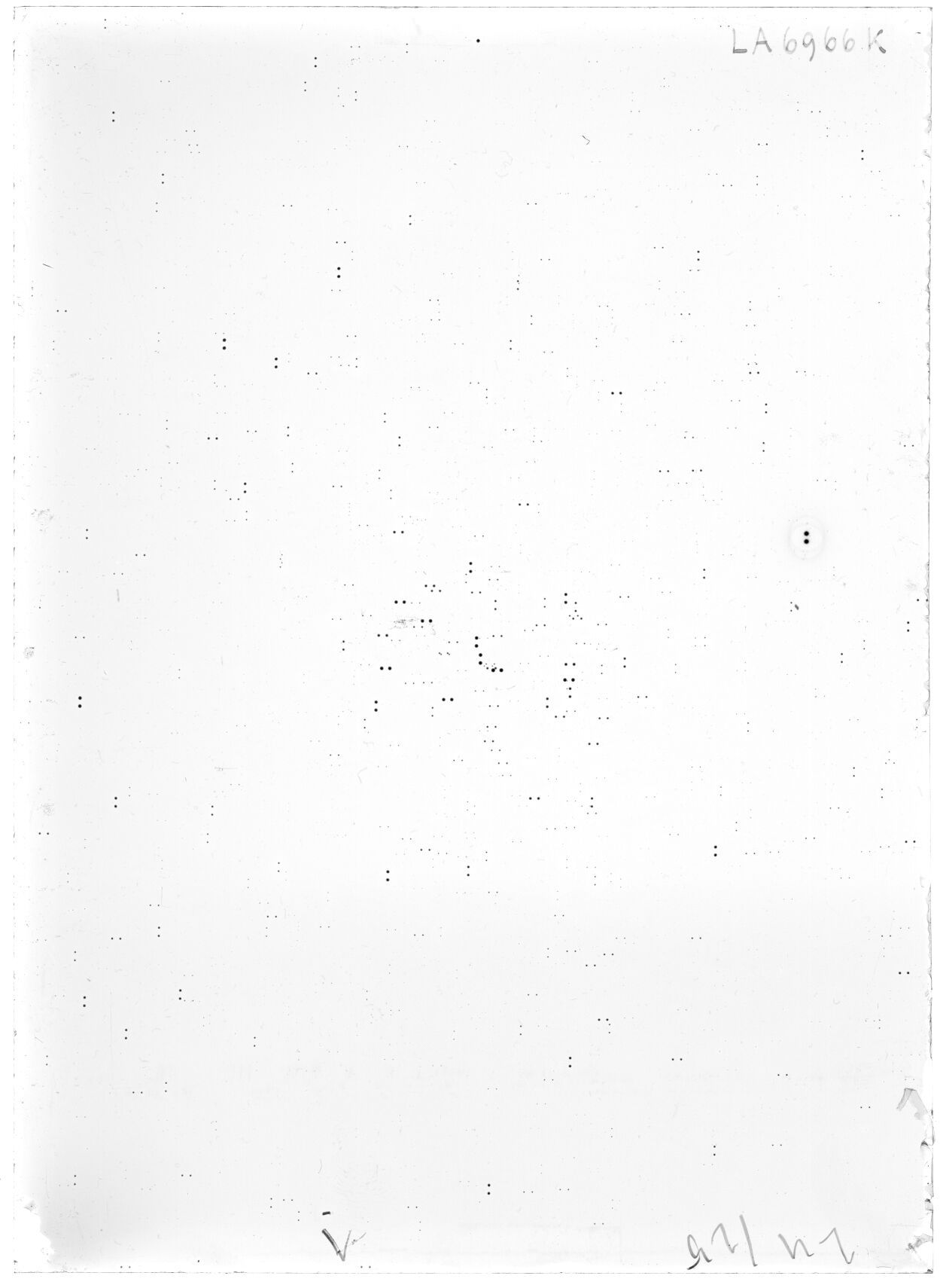 Scan LA06966