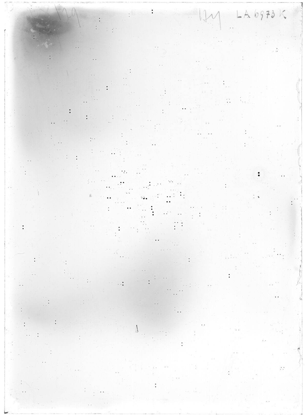 Scan LA06973