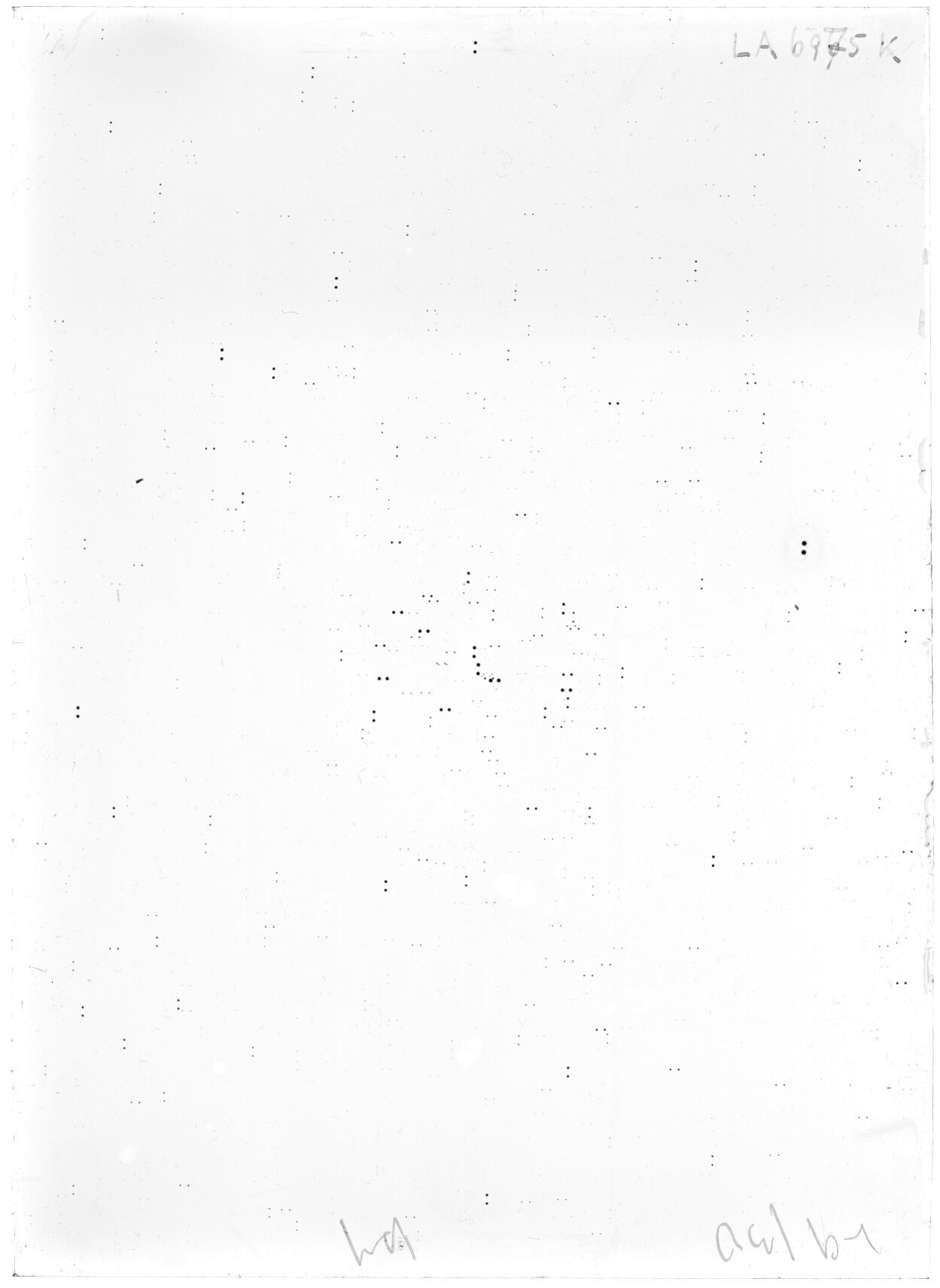 Scan LA06975