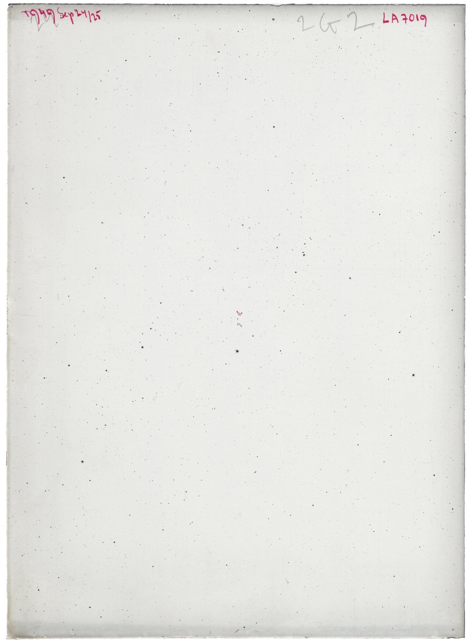 Scan LA07019