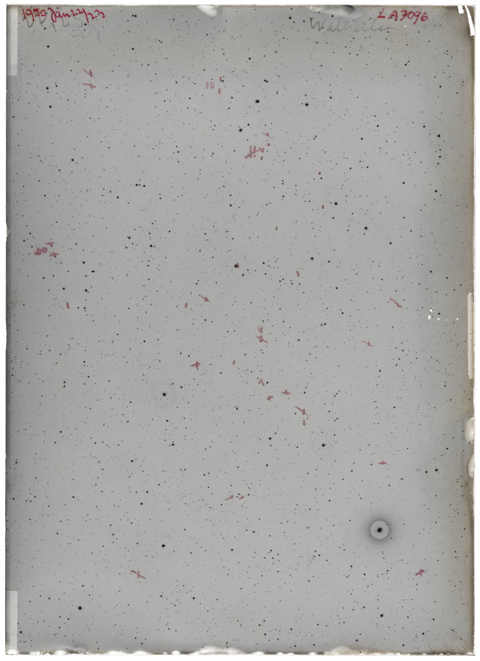 Scan LA07096