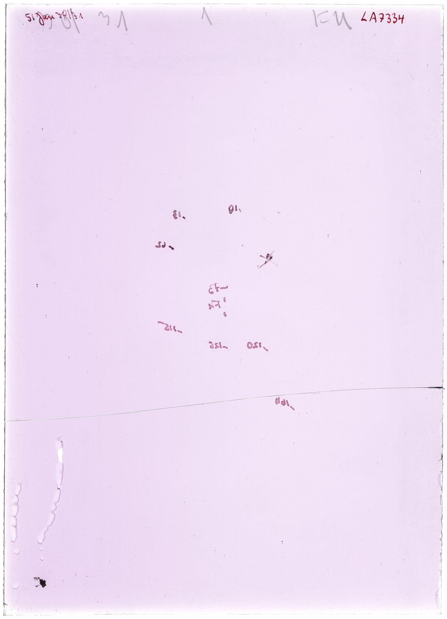 Scan LA07334