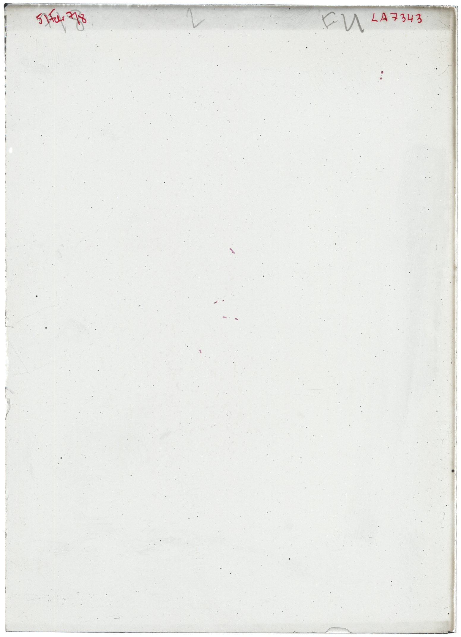 Scan LA07343