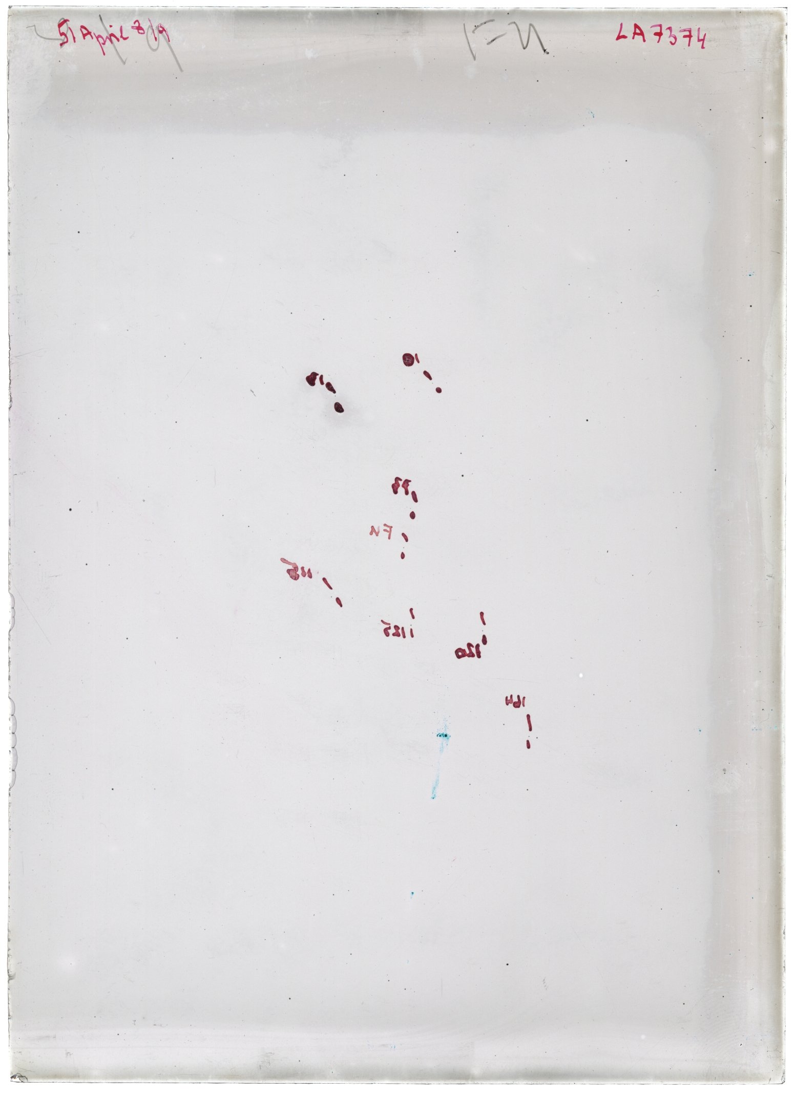 Scan LA07374