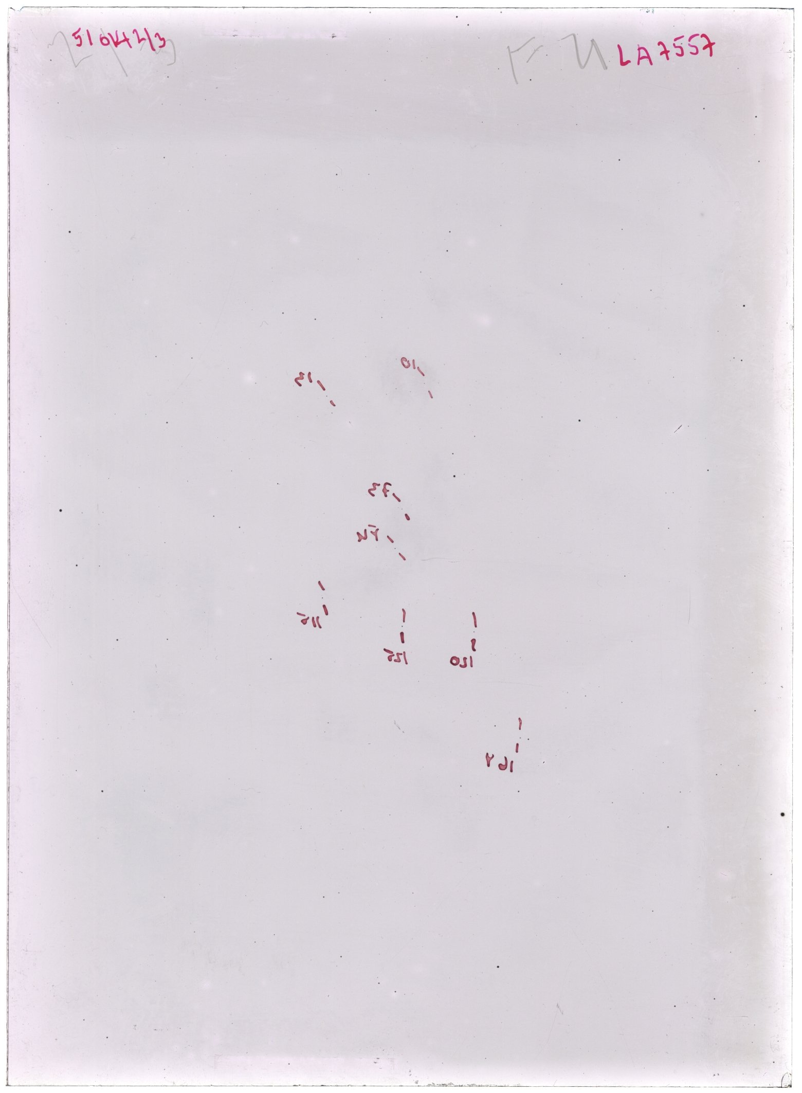 Scan LA07557