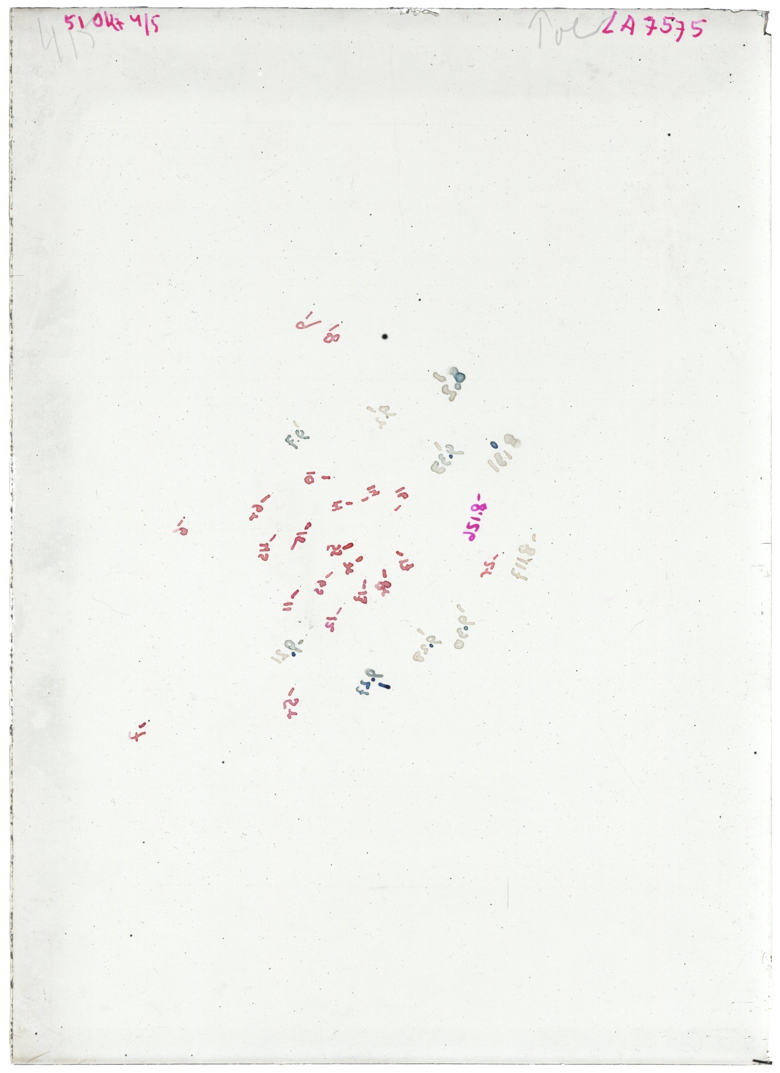 Scan LA07575