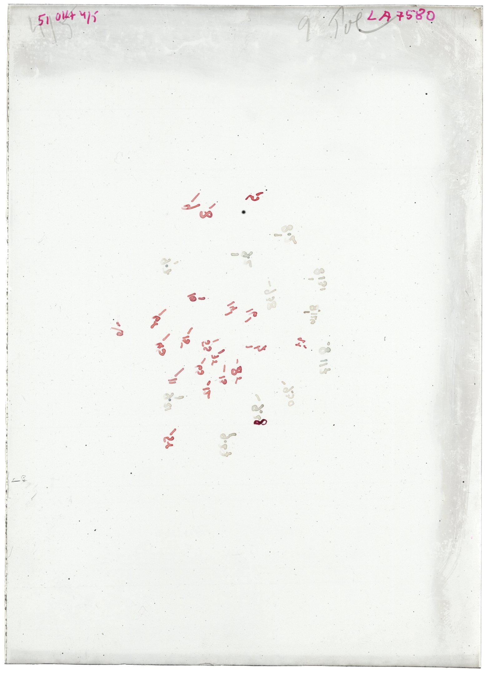 Scan LA07580