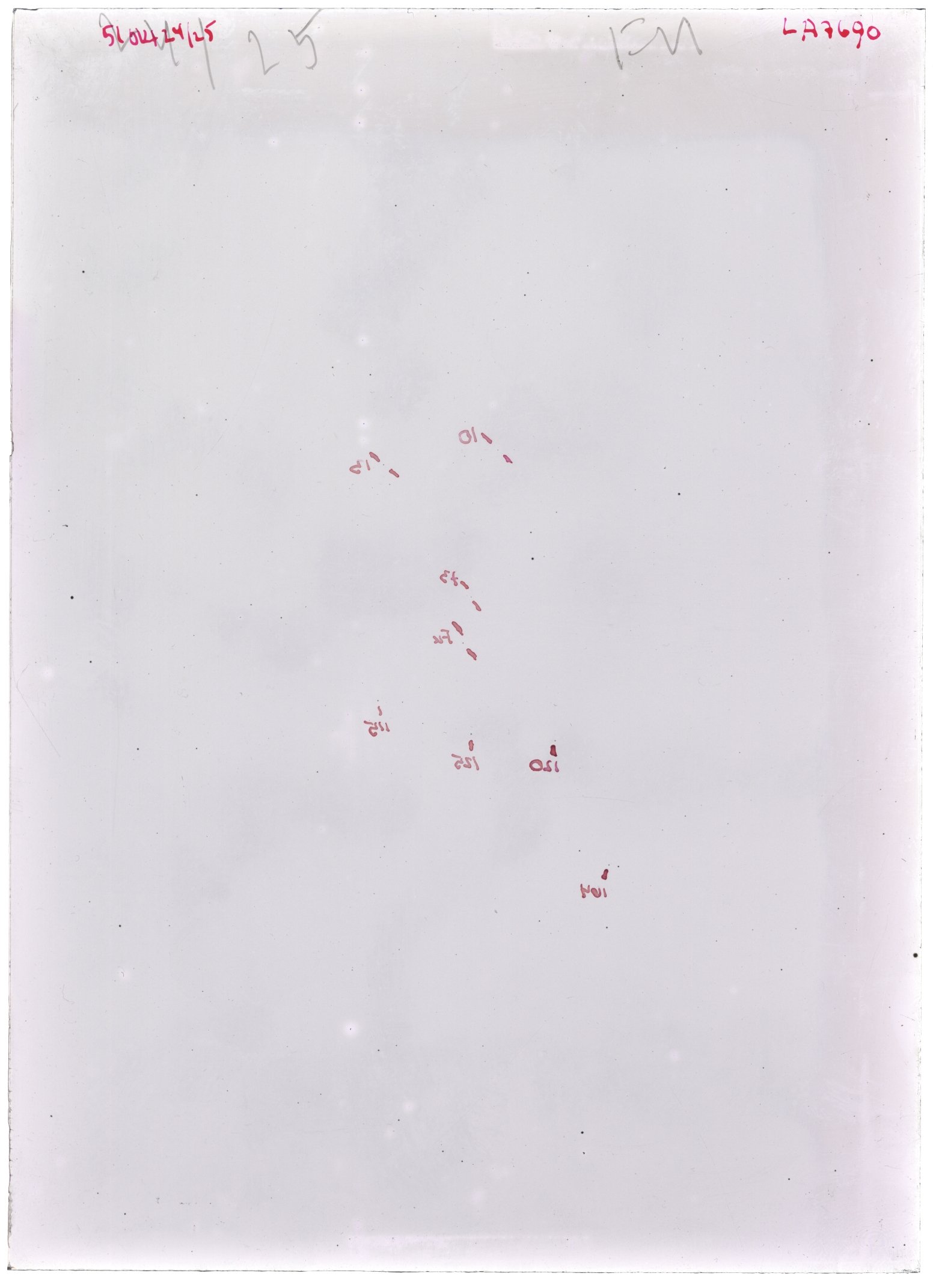 Scan LA07690