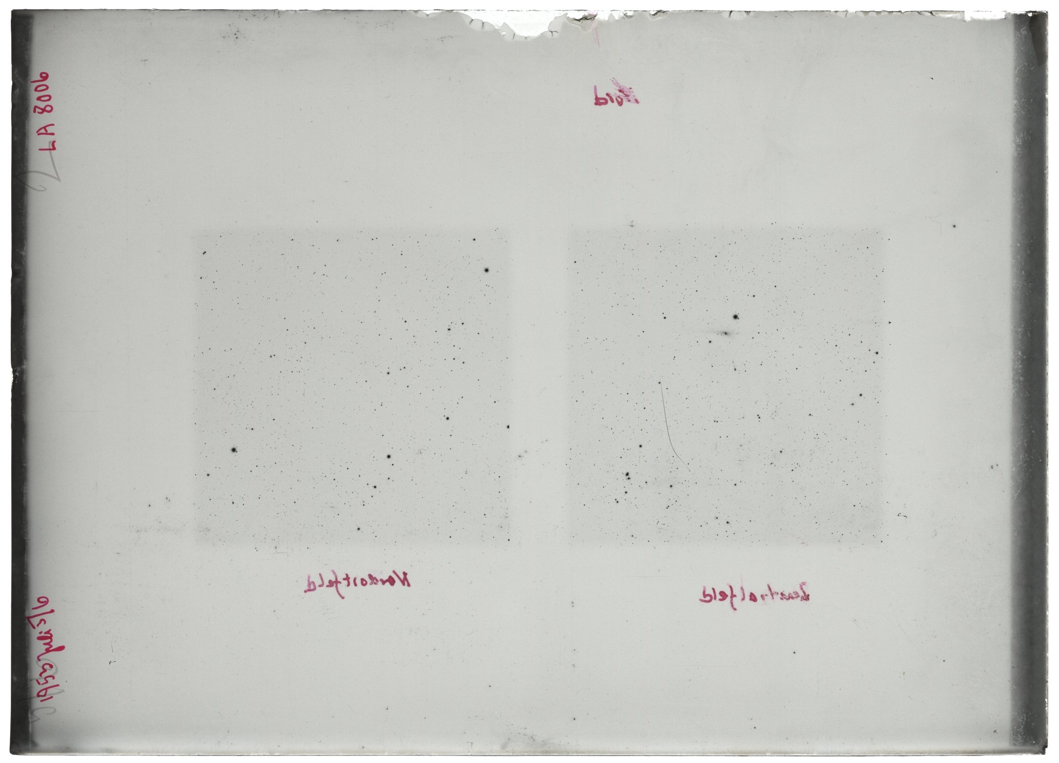 Scan LA08006