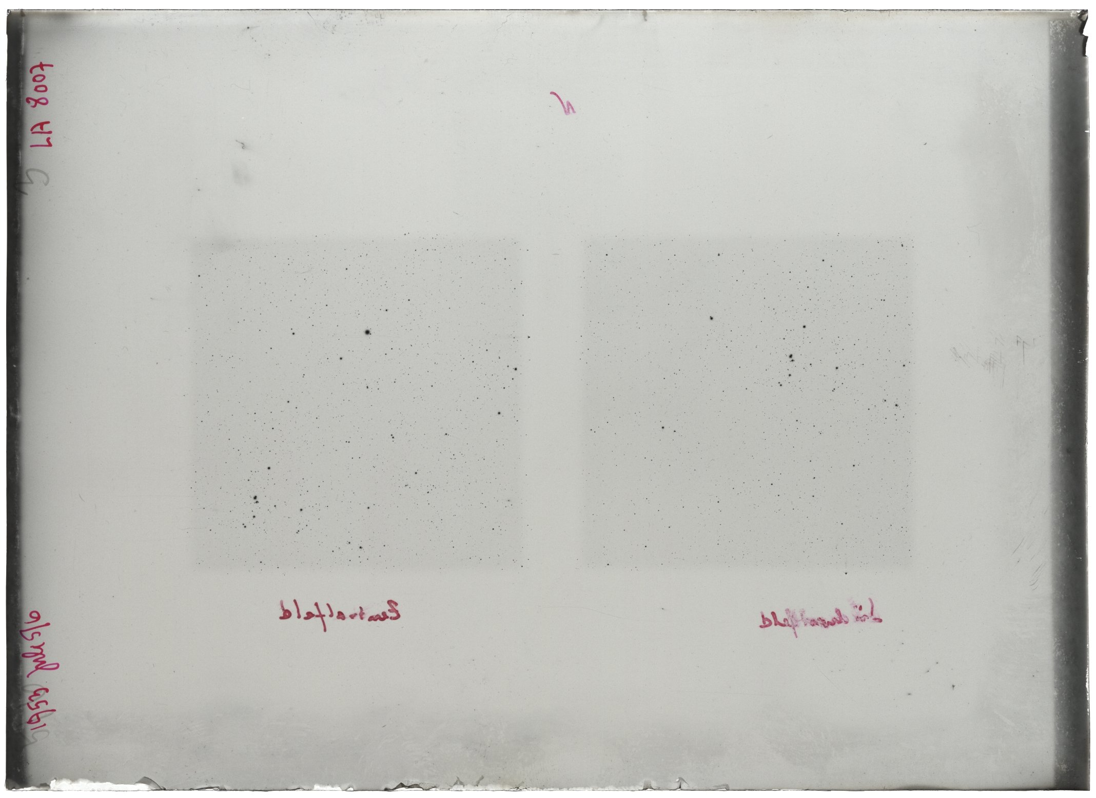 Scan LA08007