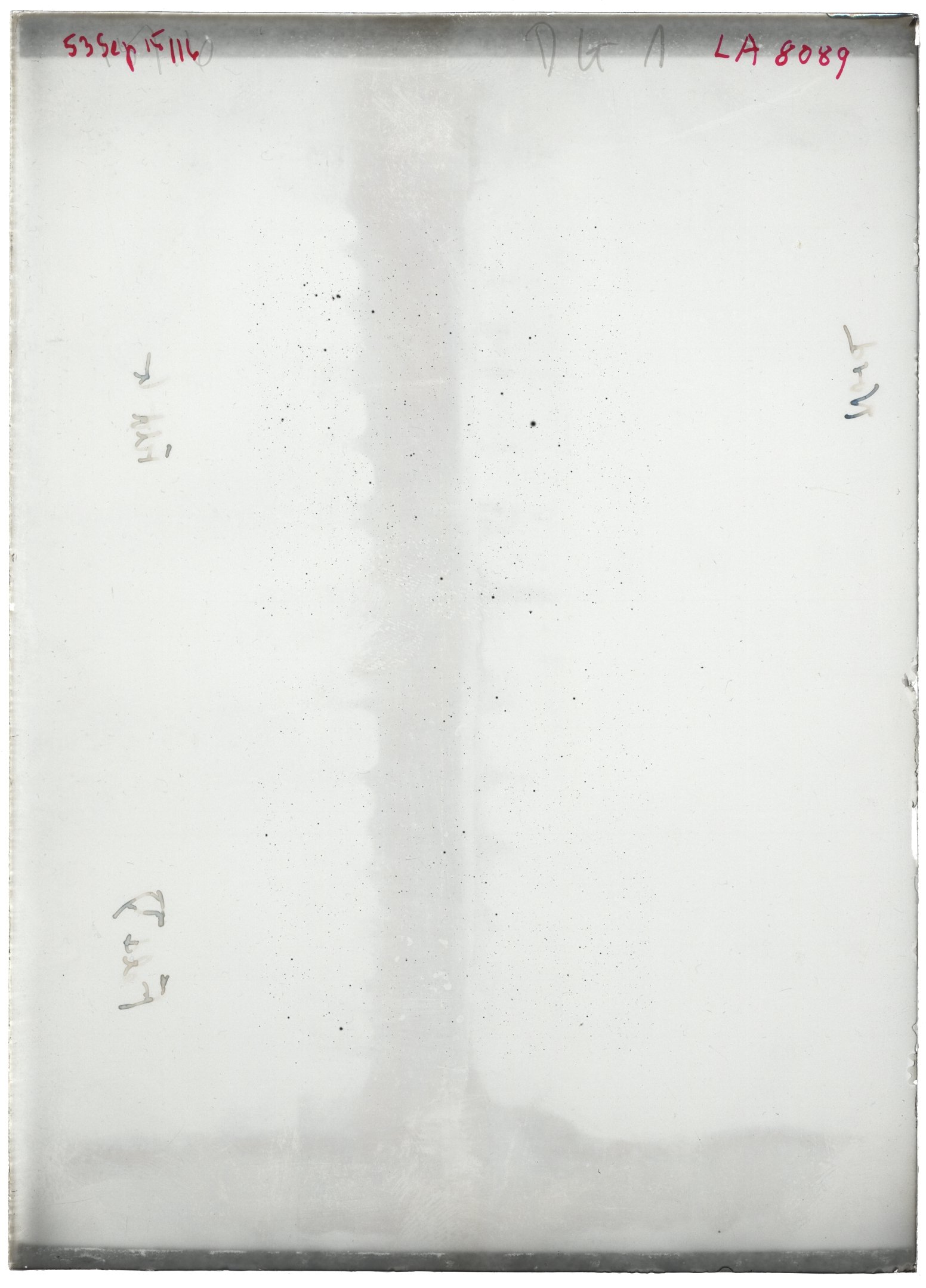 Scan LA08089