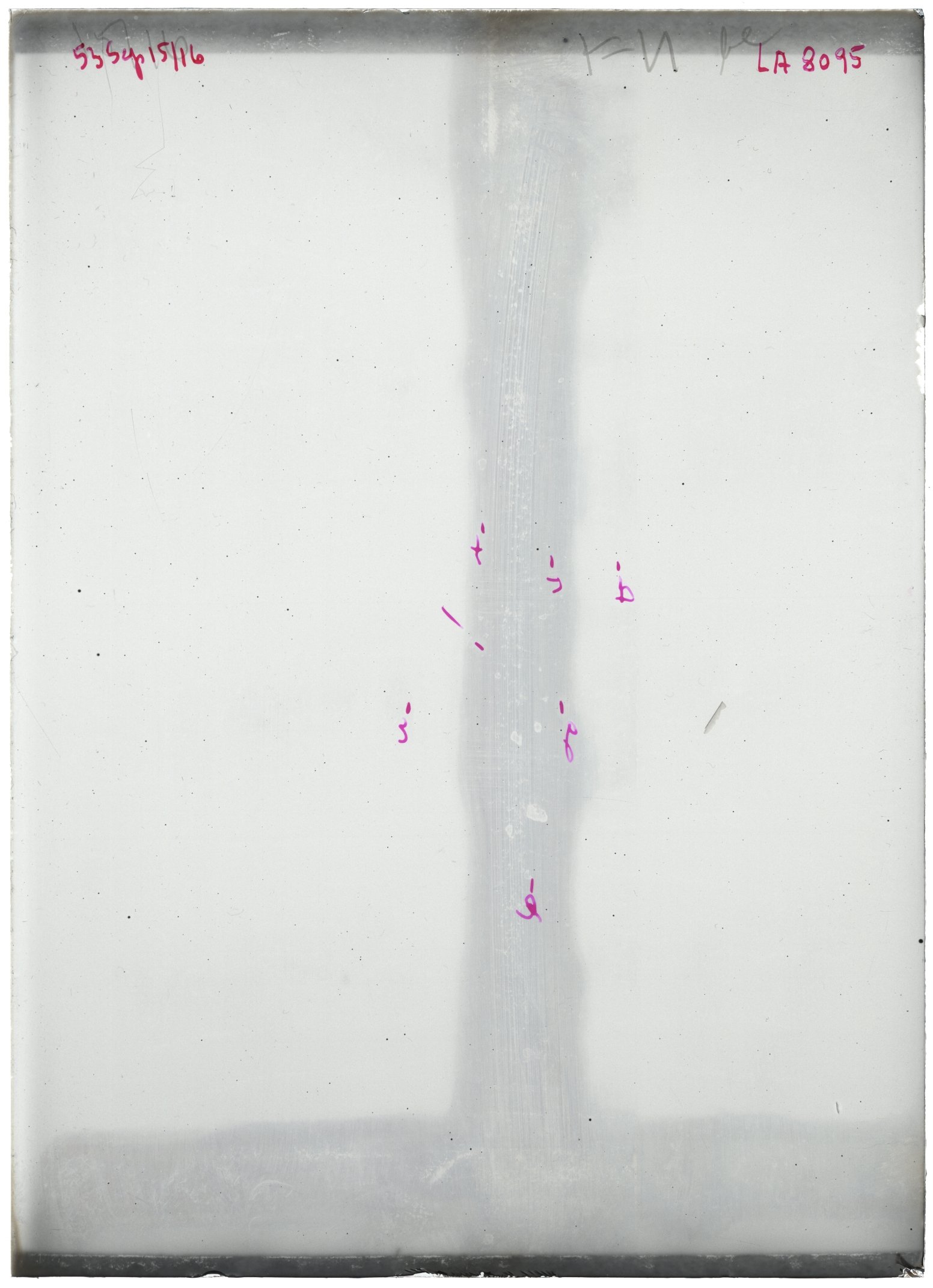 Scan LA08095