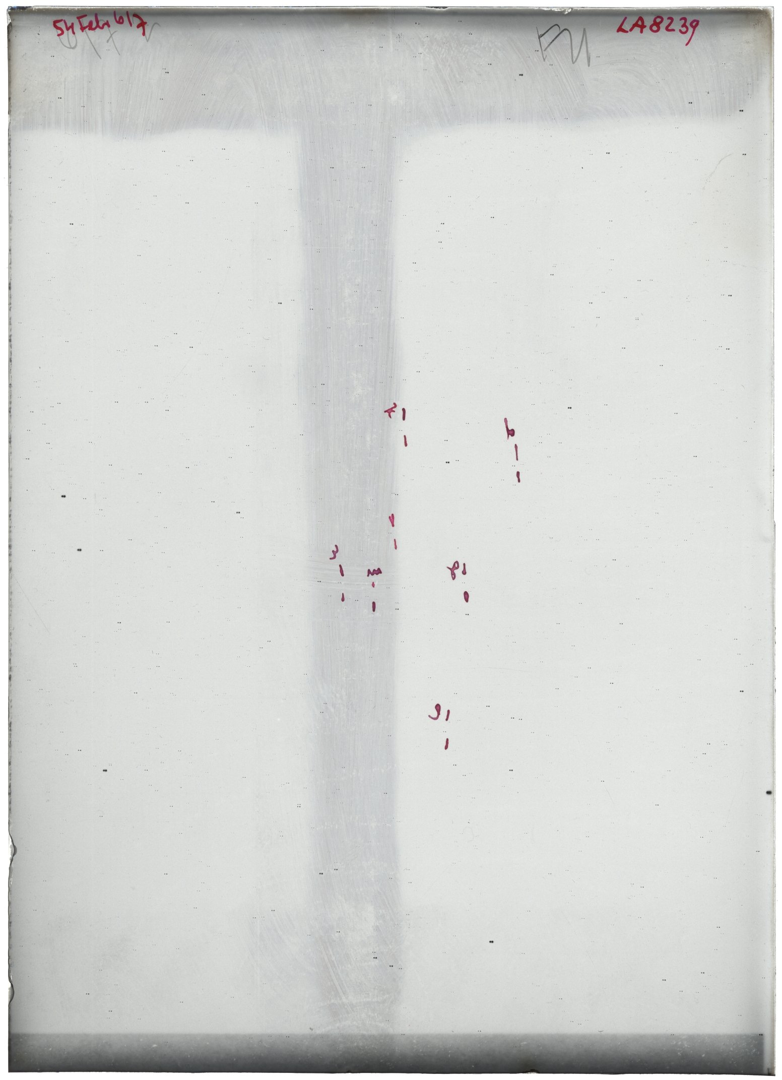 Scan LA08239
