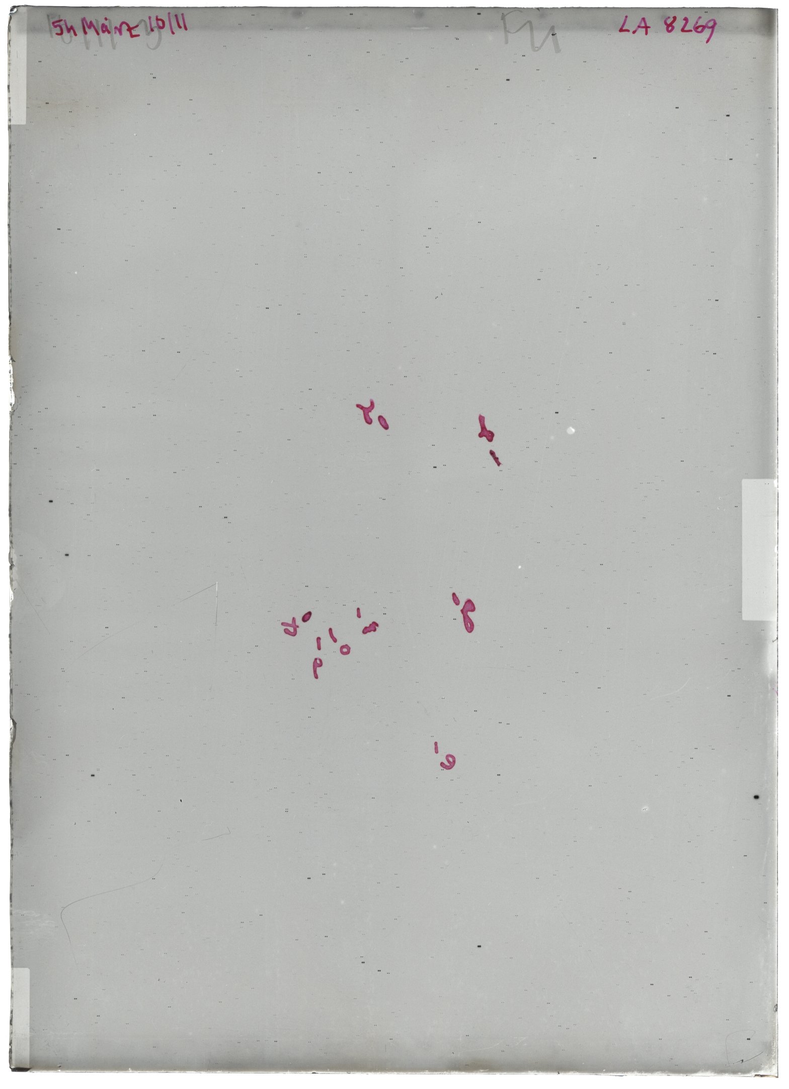 Scan LA08269