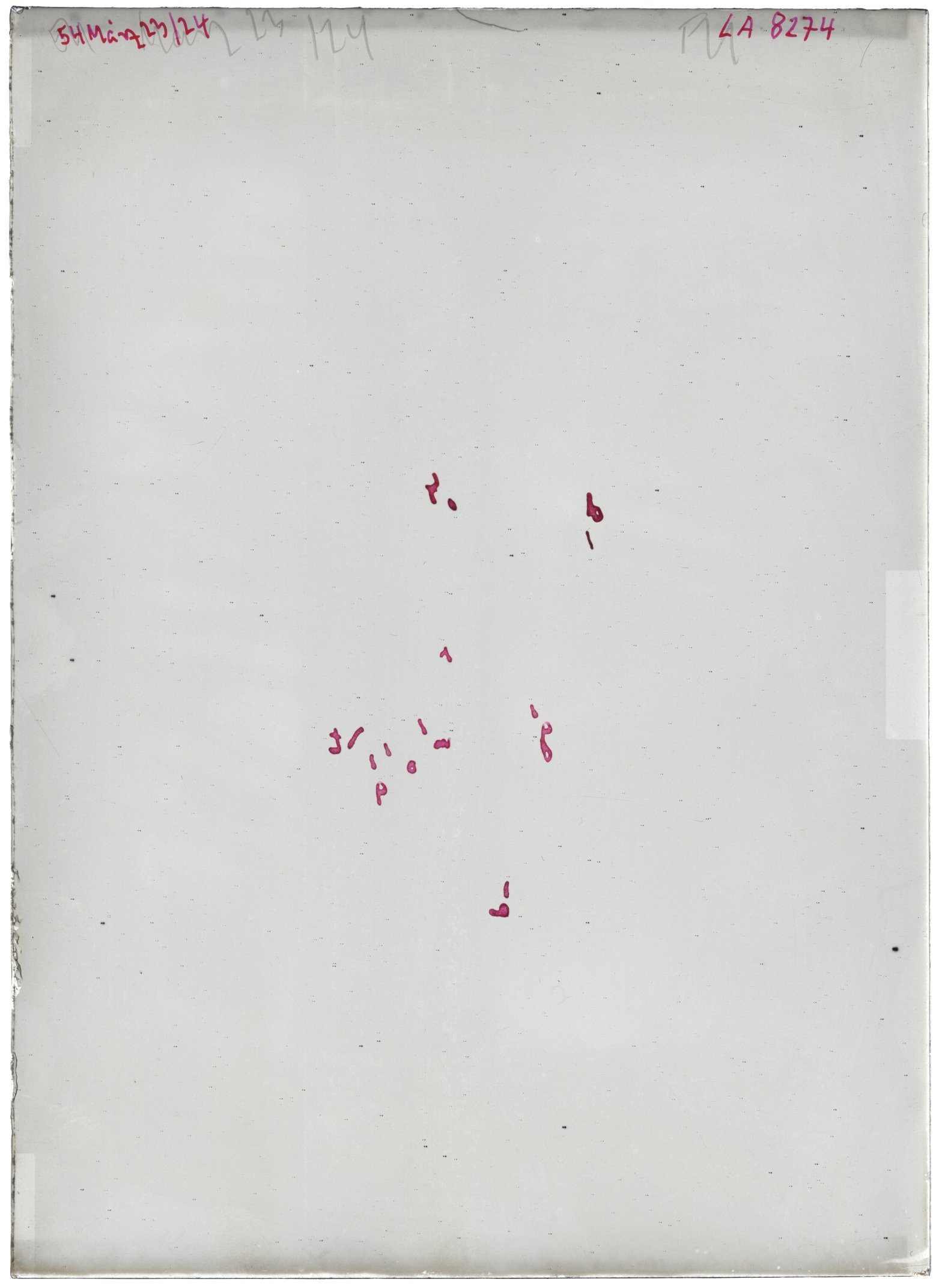 Scan LA08274