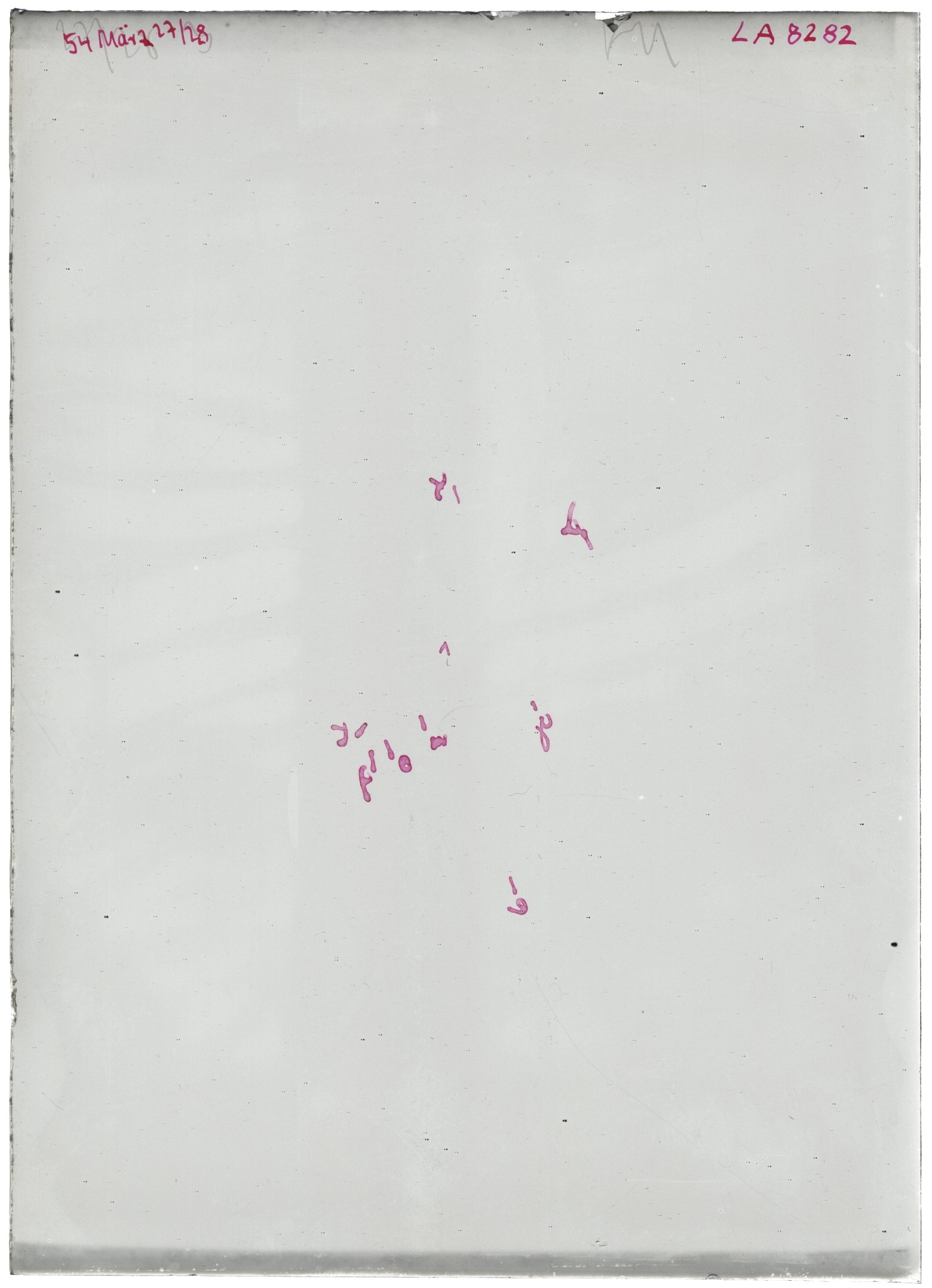 Scan LA08282