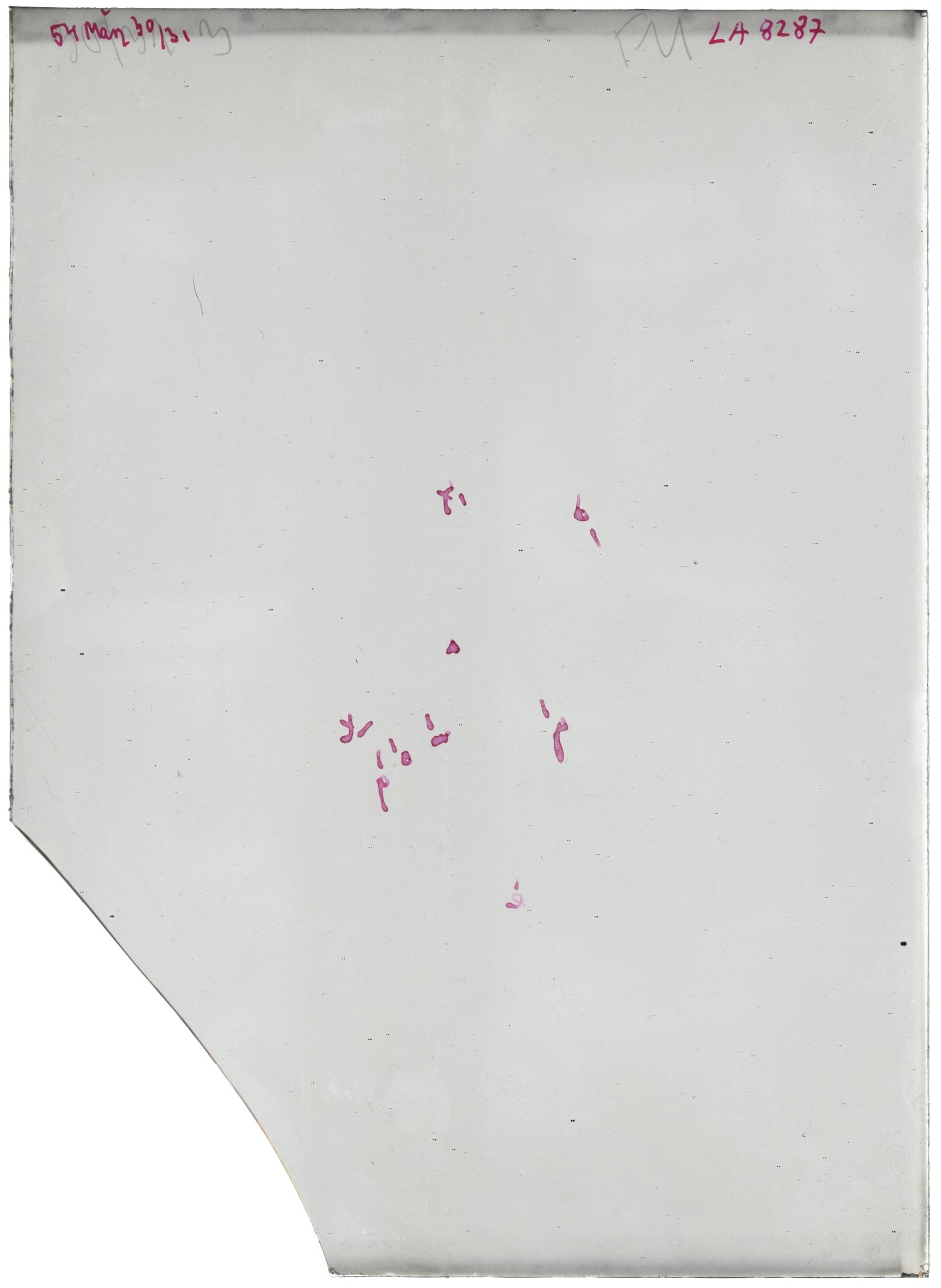 Scan LA08287