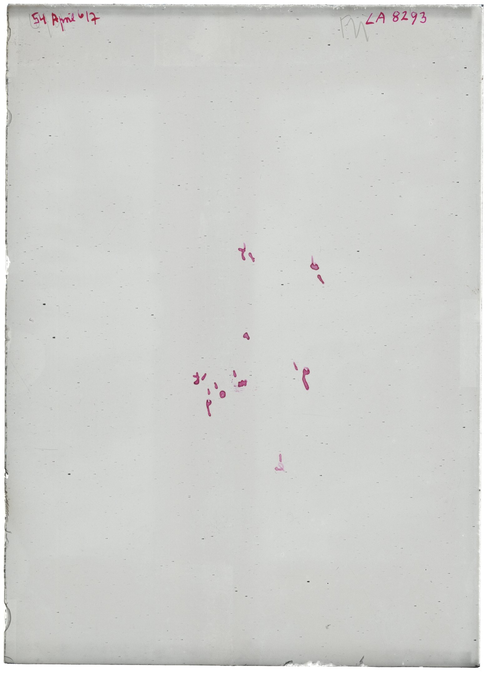 Scan LA08293