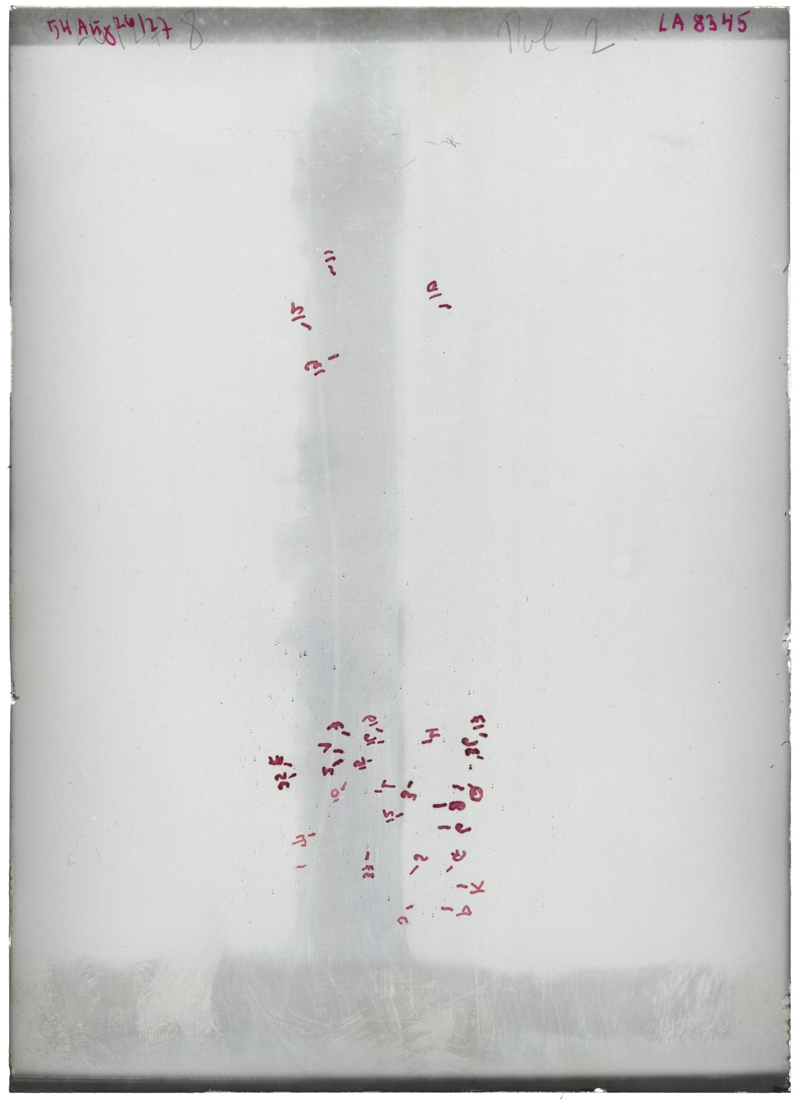 Scan LA08345