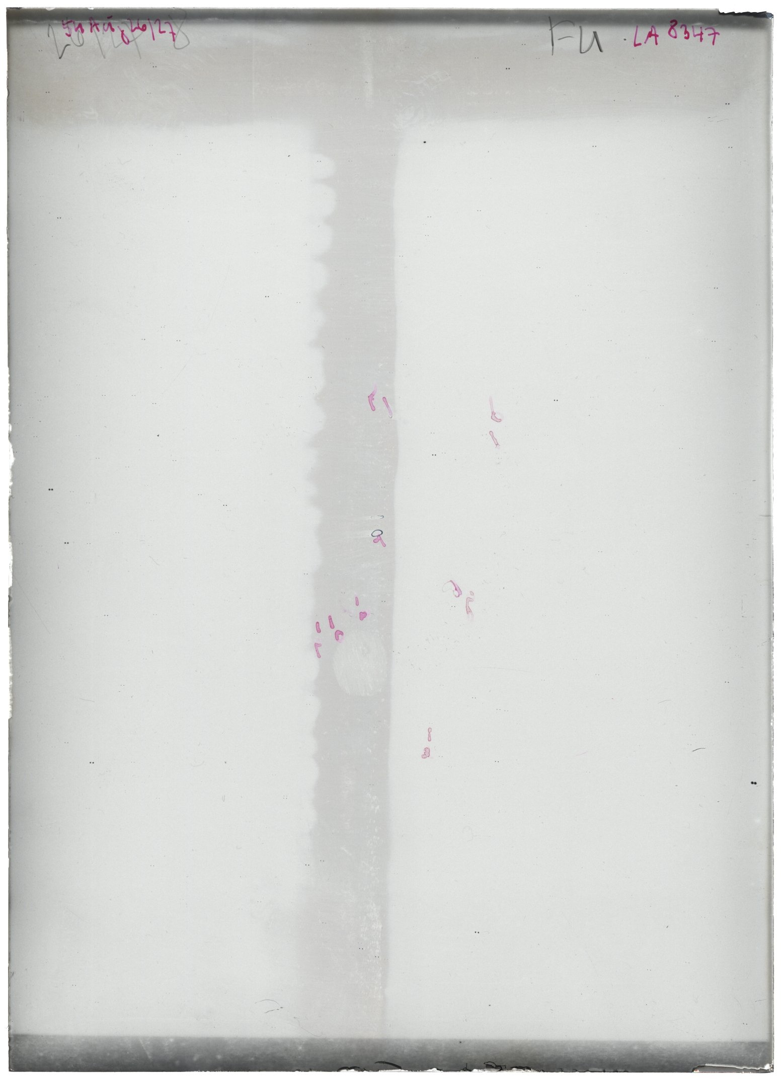 Scan LA08347