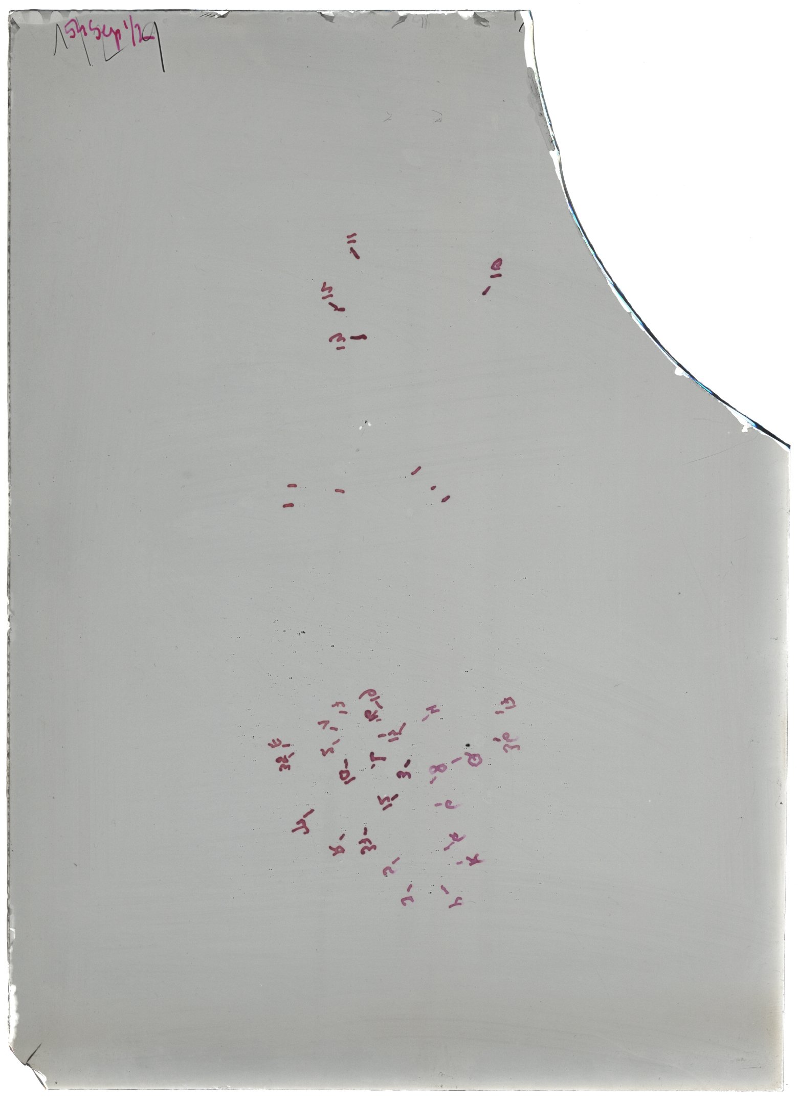 Scan LA08361