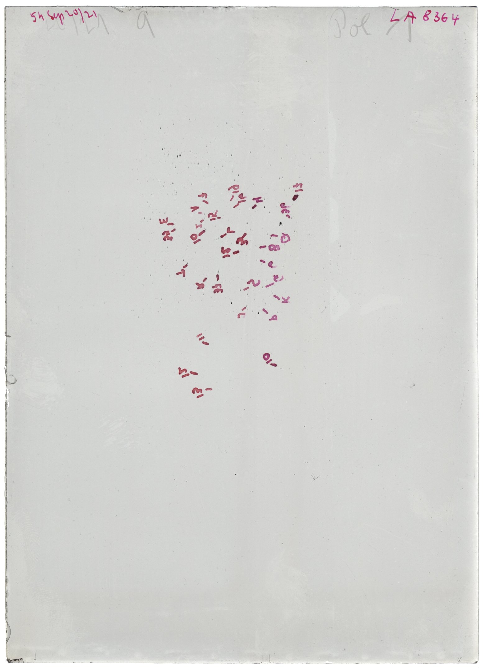 Scan LA08364
