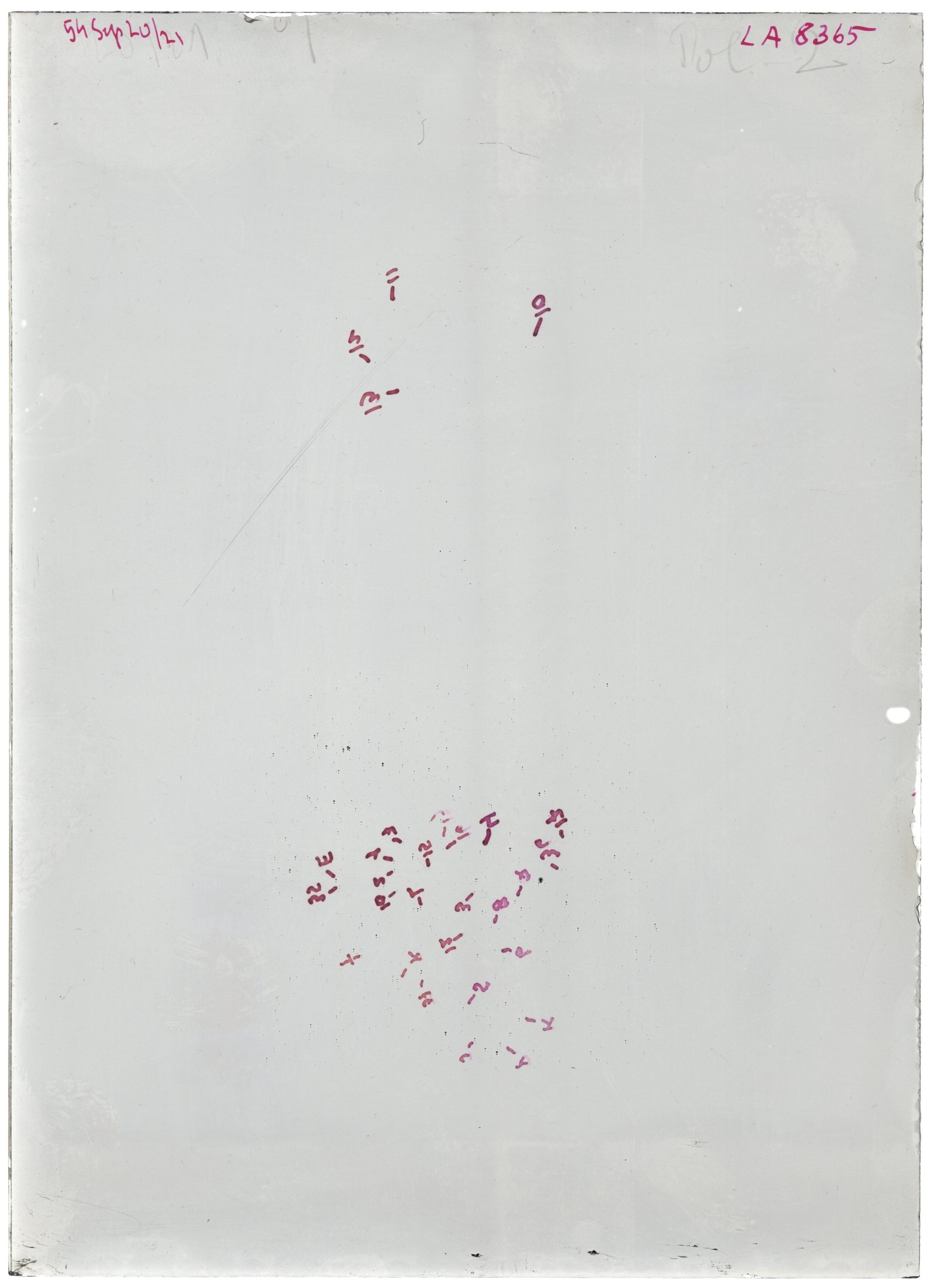 Scan LA08365