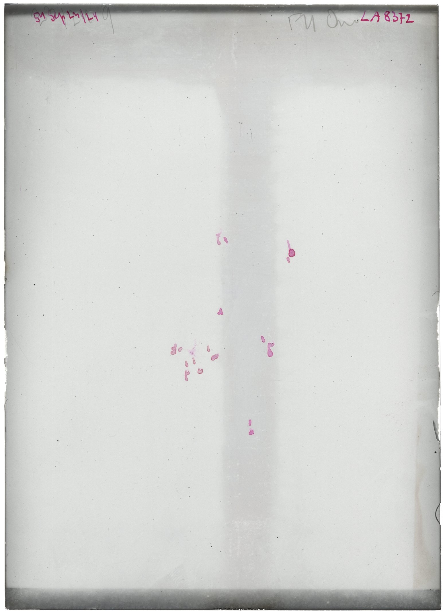 Scan LA08372